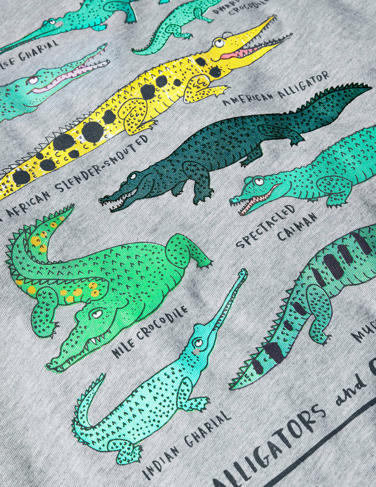 Graphic Animals T-shirt-Grey Marl Crocodiles-3