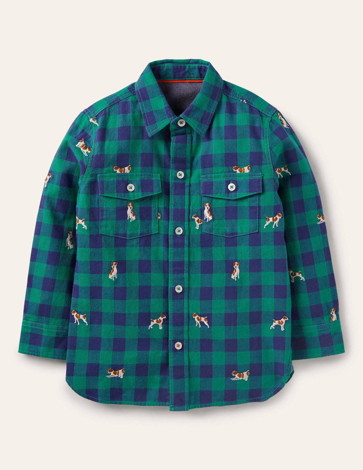 Cosy Embroidered Check Shirt-Blue/Green Sprout-1