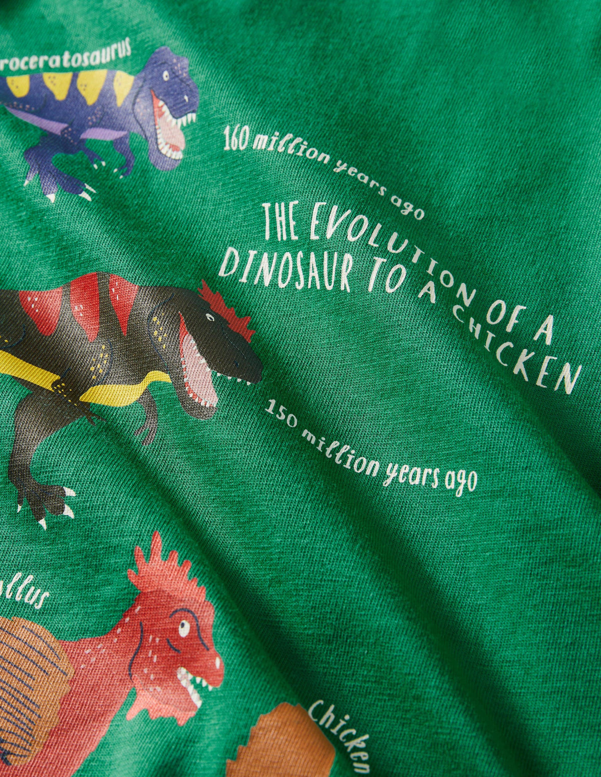 Printed Graphic T-shirt-Shady Glade Green Evolution - Image 3