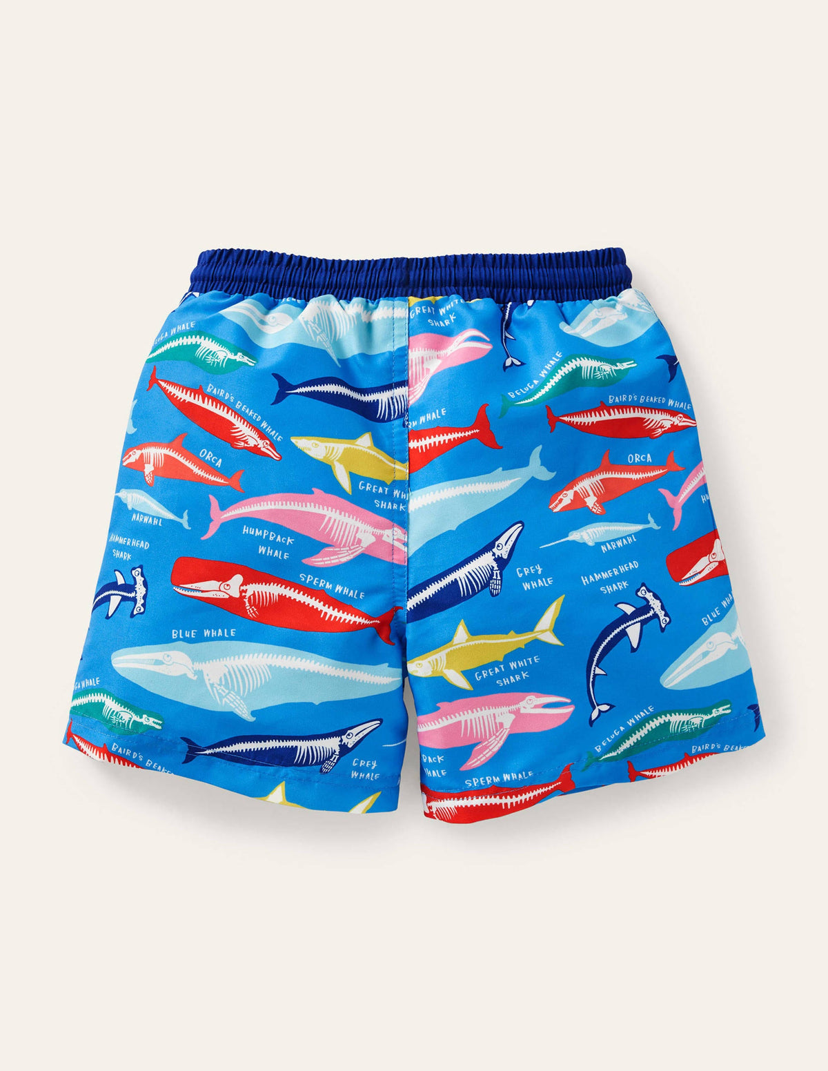 Swim Trunks-Malibu Blue, Whale Bones-2