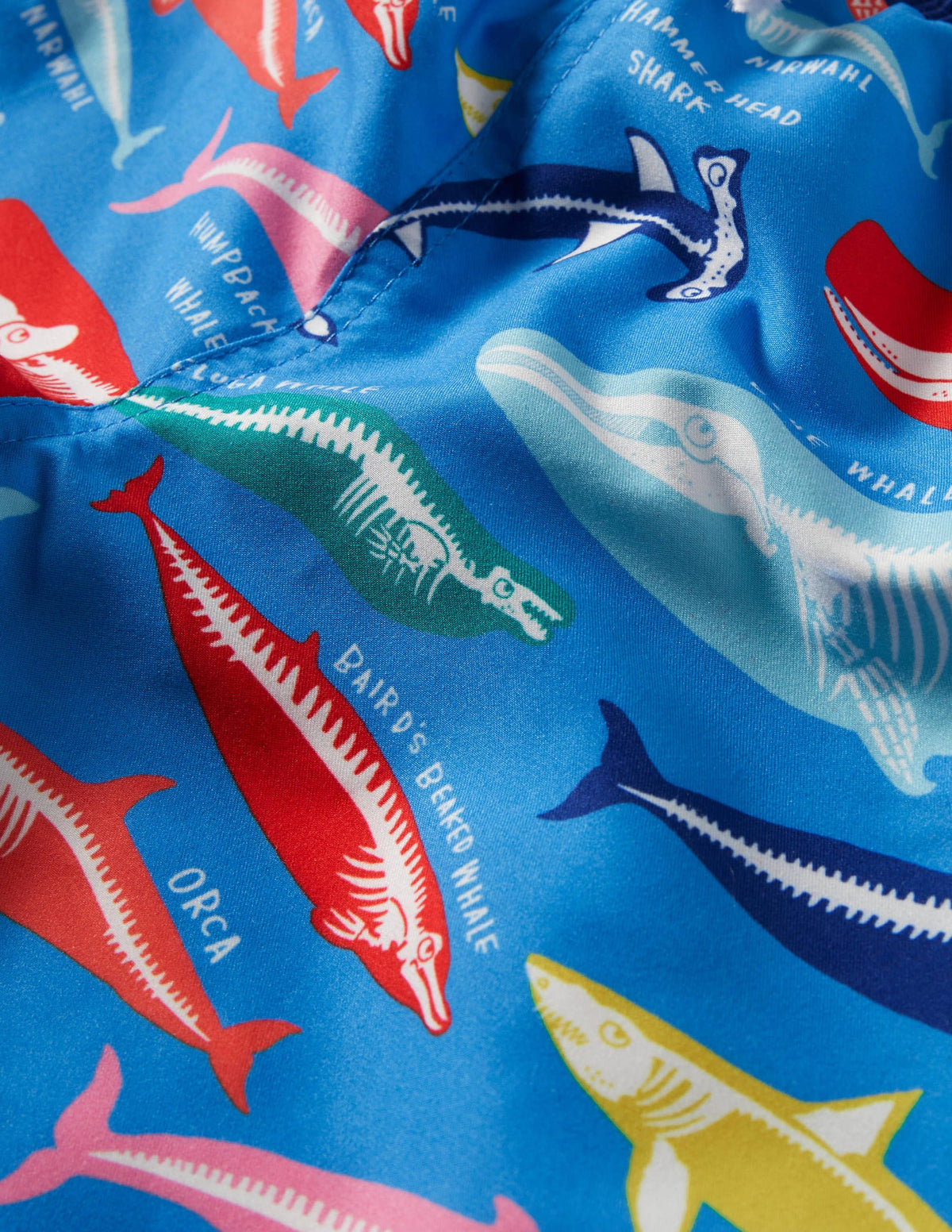 Swim Trunks-Malibu Blue, Whale Bones-3