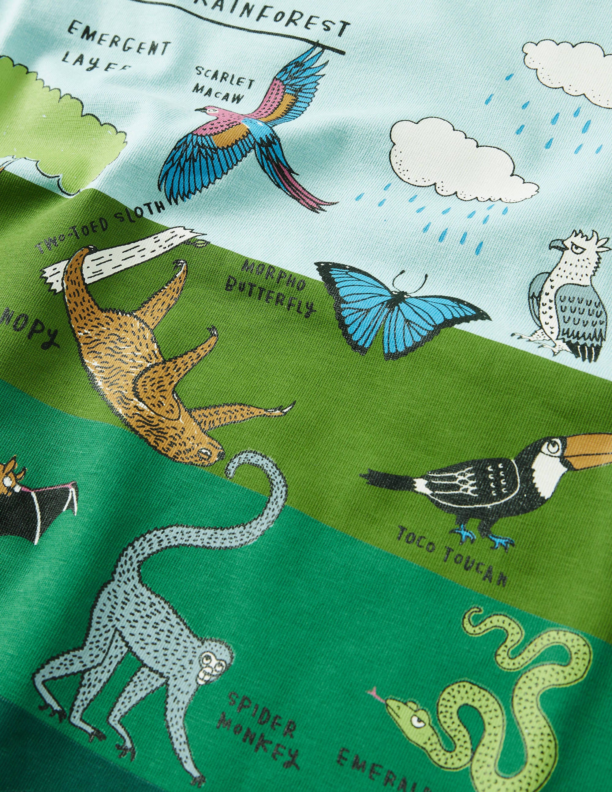 Graphic Layers T-shirt-Georgian Blue Rainforest - Image 3