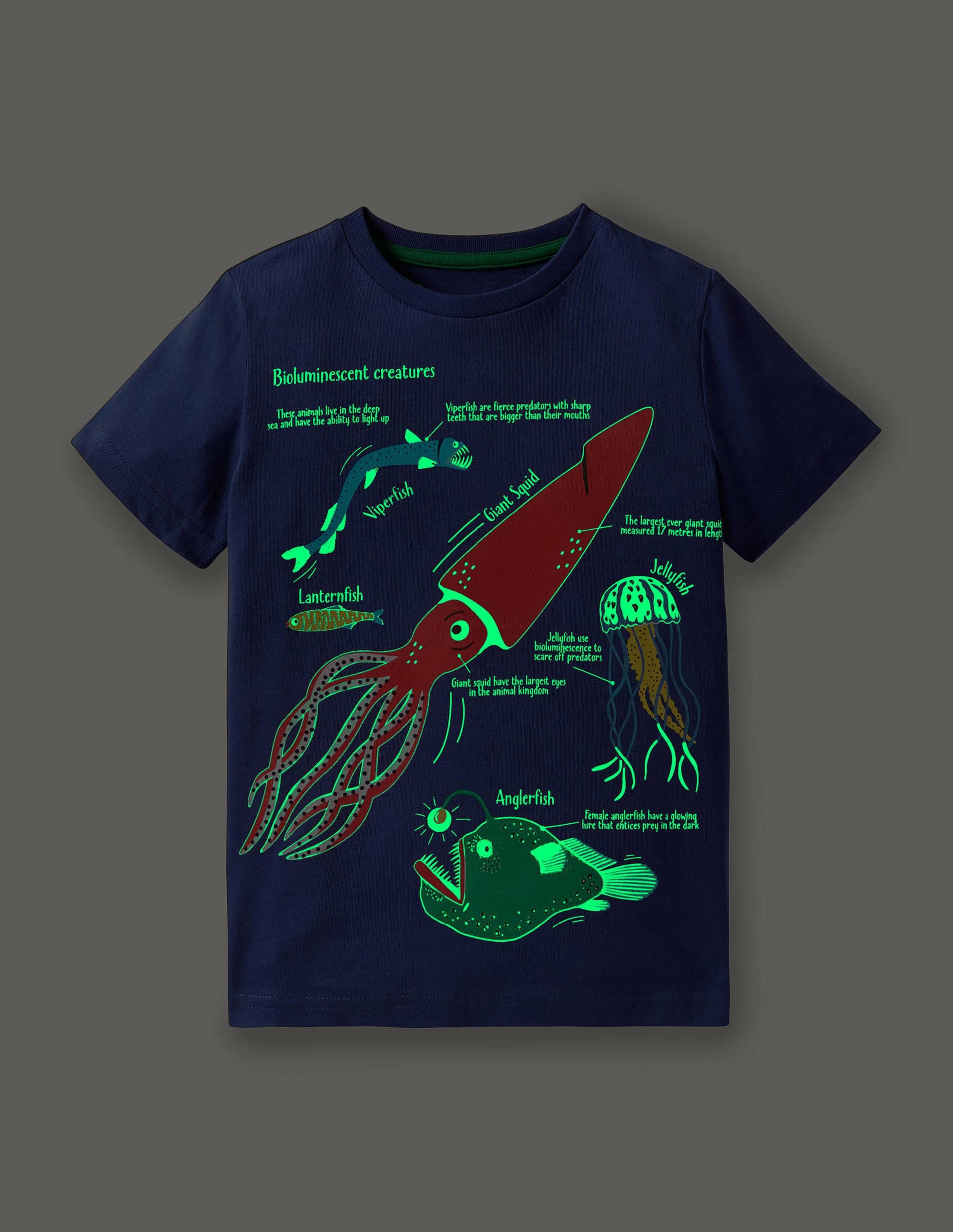 Blue Sea Creatures Glow-in-the-Dark T-Shirt-Starboard Blue Creatures - Image 4