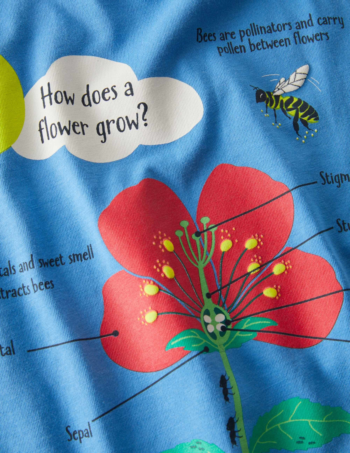 Blue Flower Educational T-shirt-Bright Bluebell Blue Flower - Image 3