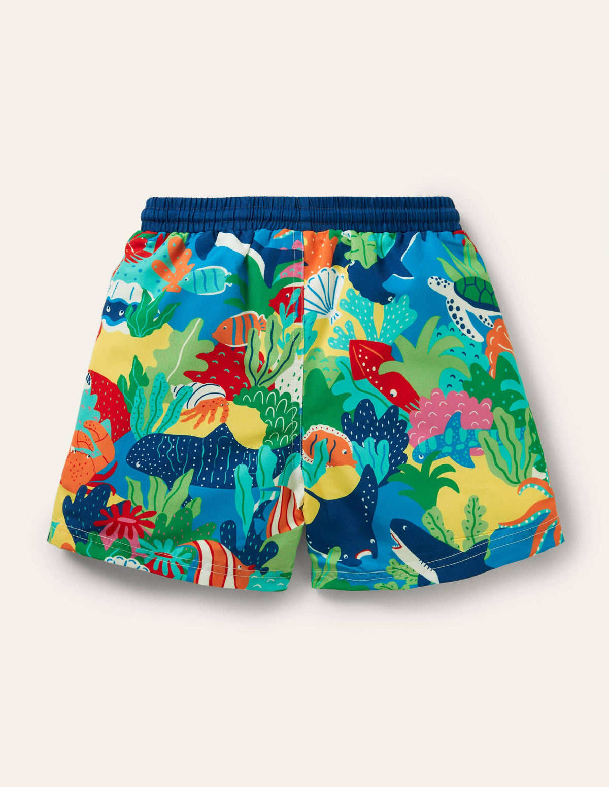 Swim Trunks-Multi Rainbow Reef - Image 2