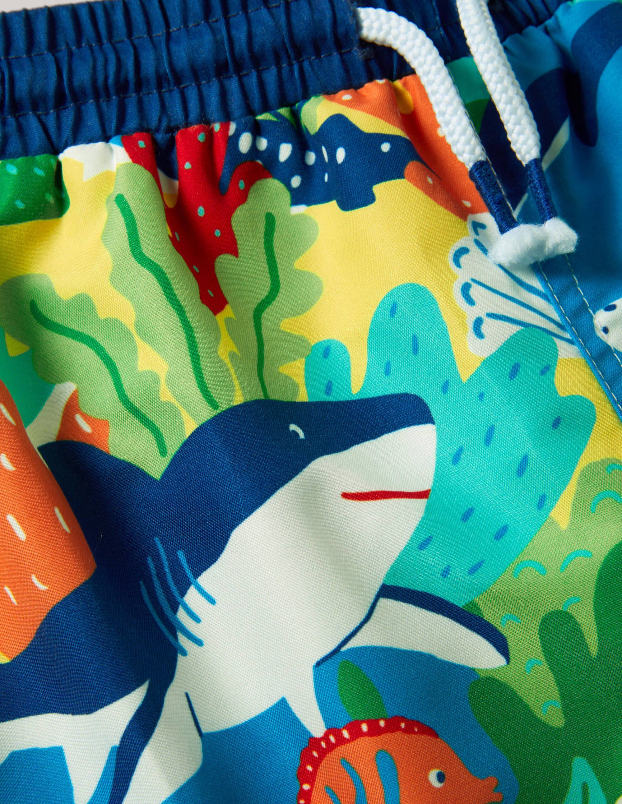 Swim Trunks-Multi Rainbow Reef - Image 3