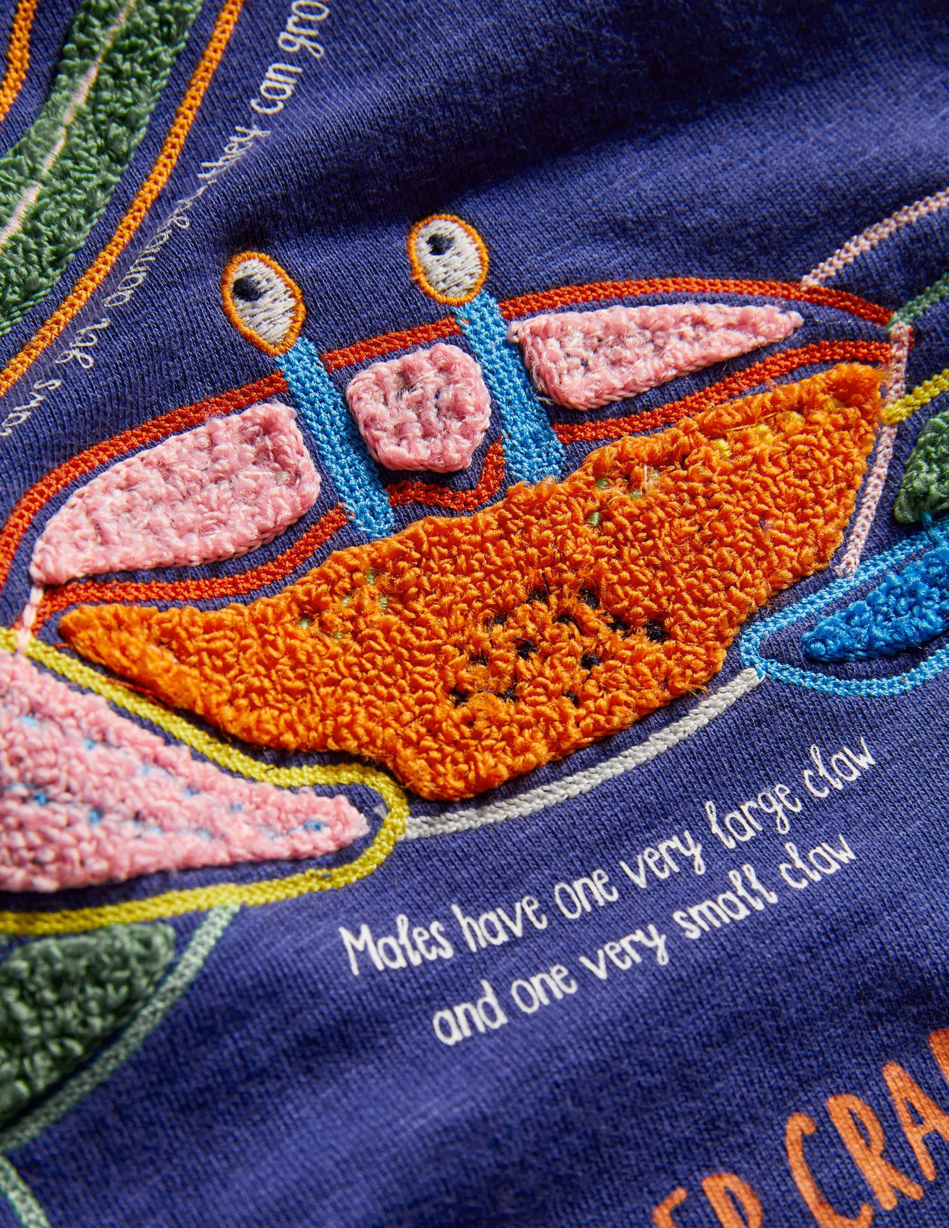 Appliqué Crab Sweatshirt-Starboard Blue-3