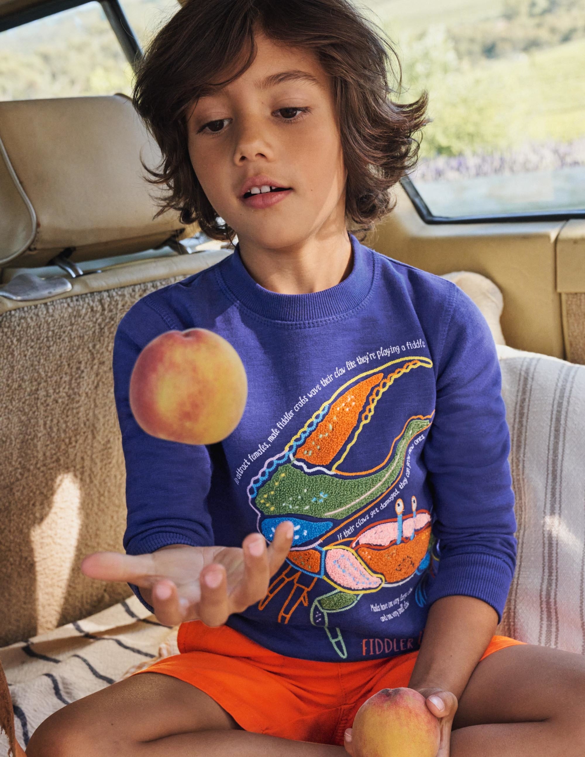 Appliqué Crab Sweatshirt-Starboard Blue - Image 4