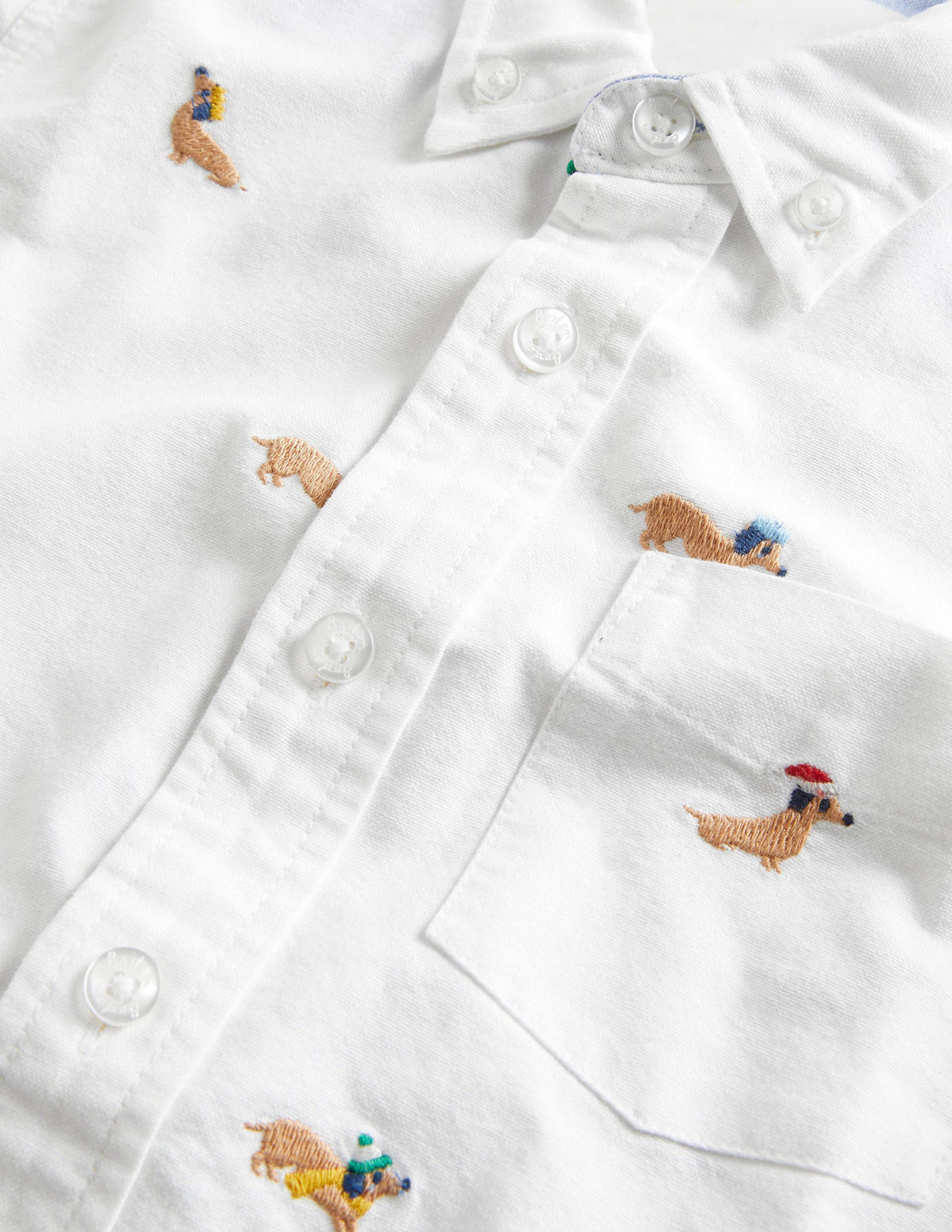 Oxford Shirt-Oxford Dogs-3