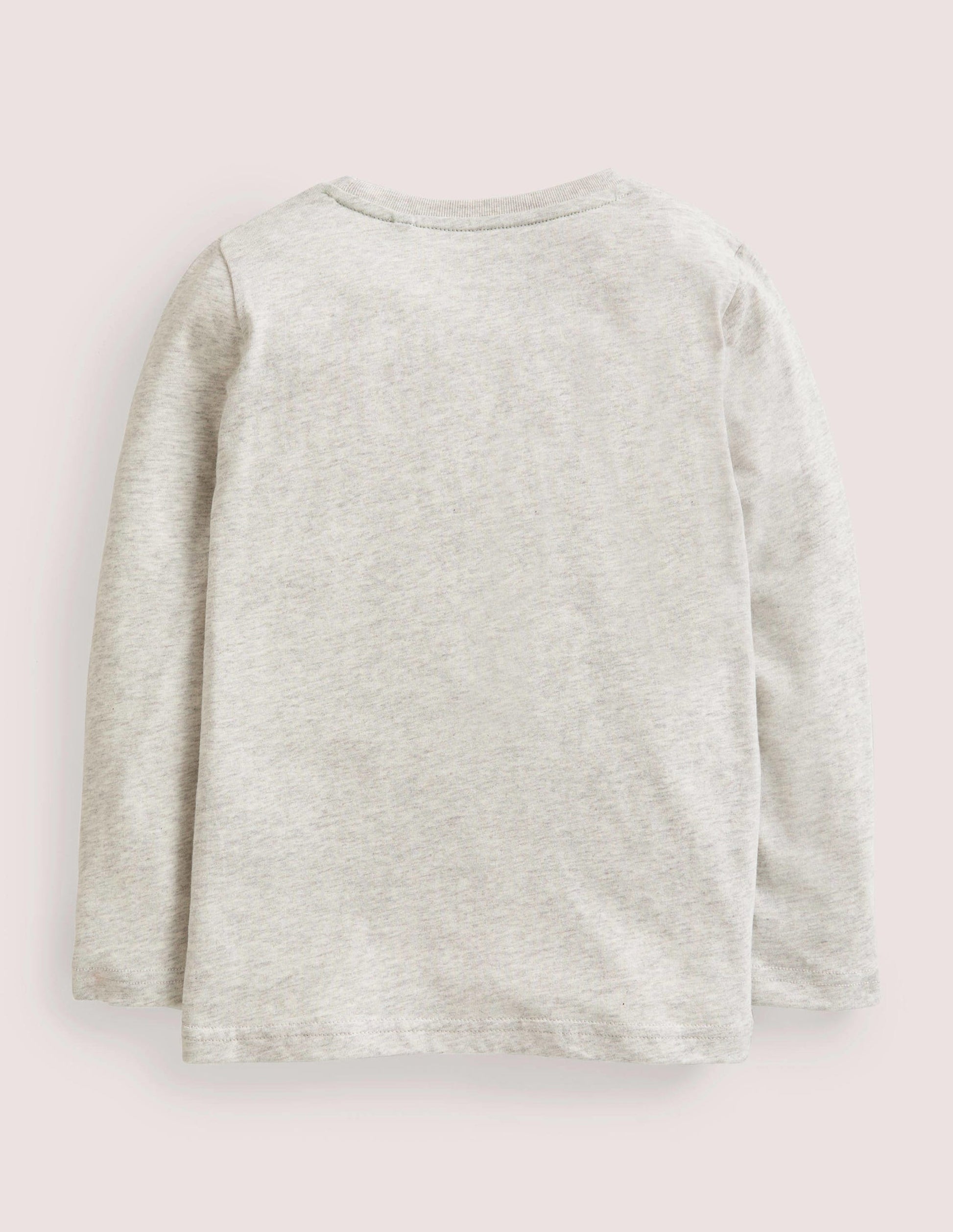 Long Sleeved Graphic T-shirt-Silver Marl Dinos-2