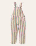 Fun Overalls-Multi Ticking