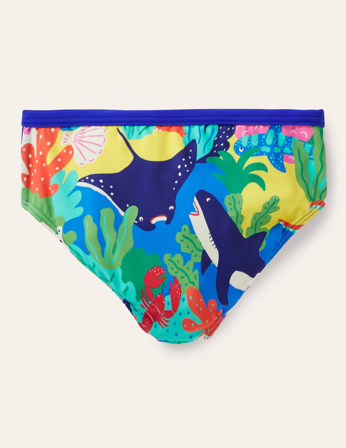 Patterned Bikini Bottoms-Multi Rainbow Reef - Image 2