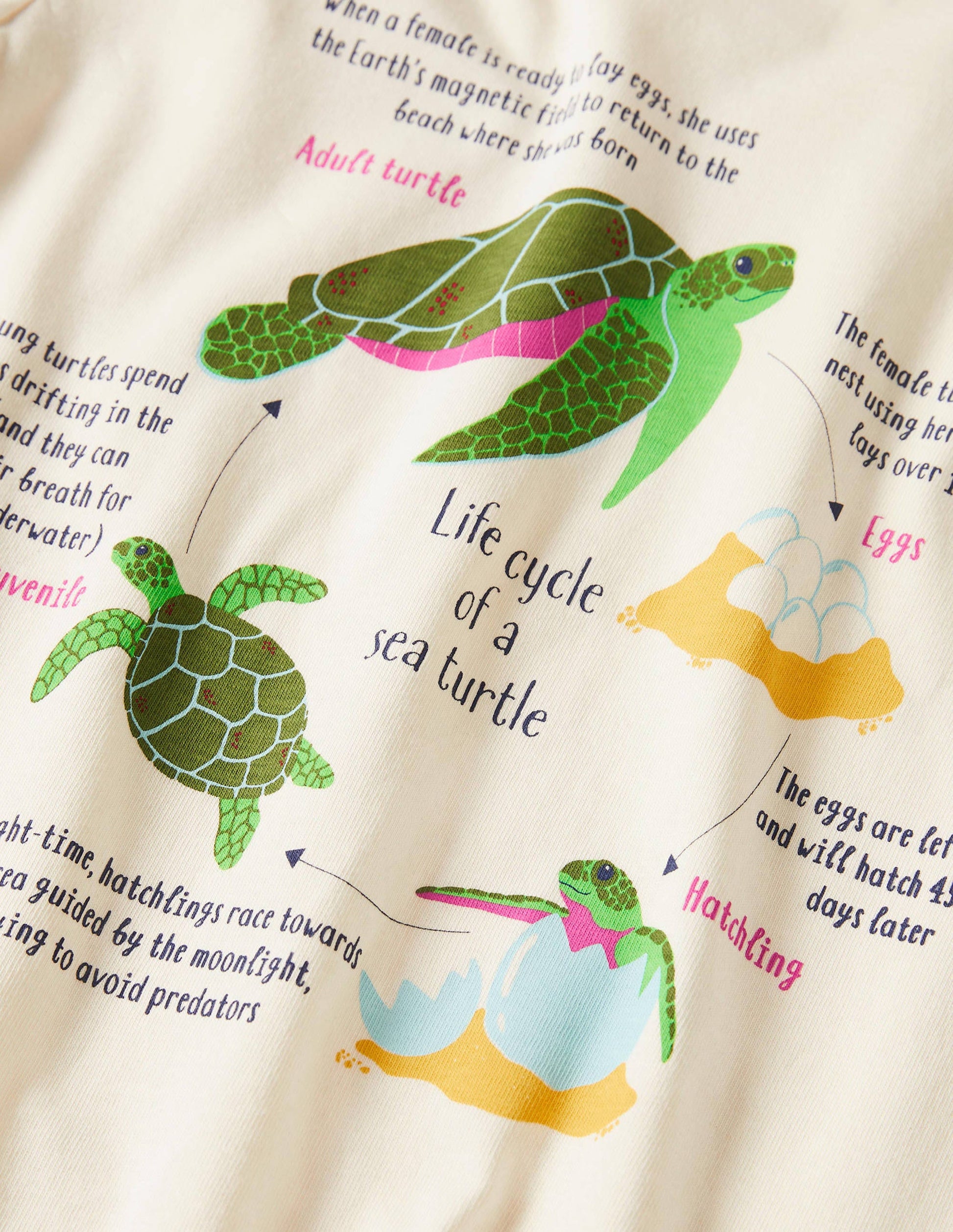 Fun Fact T-shirt-Ivory Turtles-3