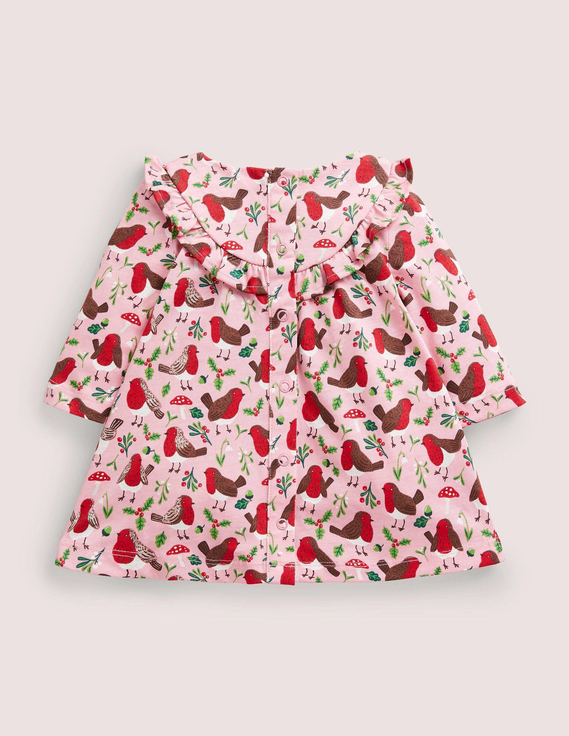 Printed Long Sleeve Dress-Boto Pink Robins-2
