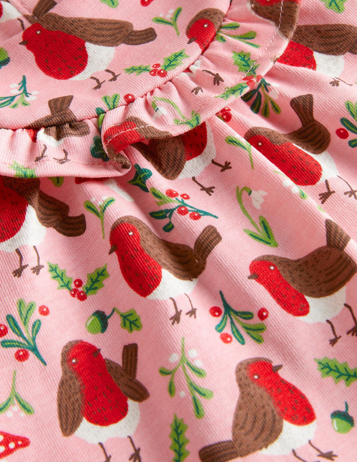 Printed Long Sleeve Dress-Boto Pink Robins - Image 3