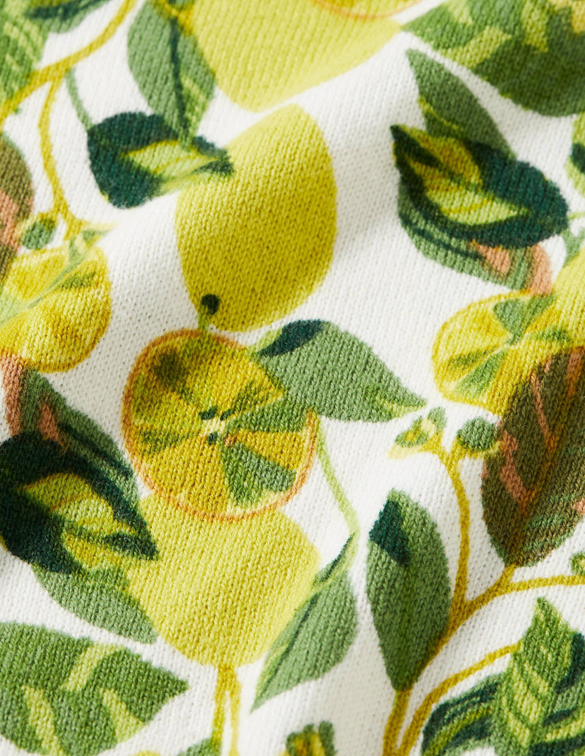 Printed Cotton Sweater-Ivory, Lemon Vine-5