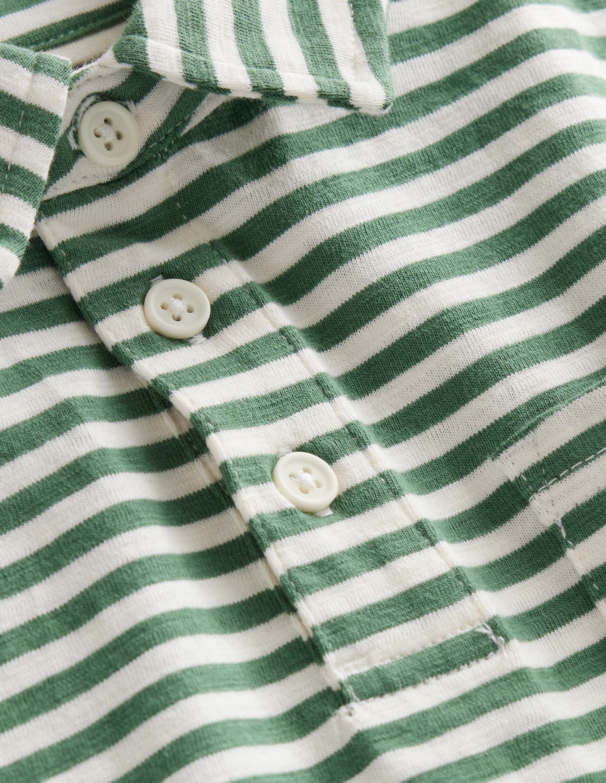 Striped Slubbed Polo Shirt-Rosemary/Ivory - Image 3