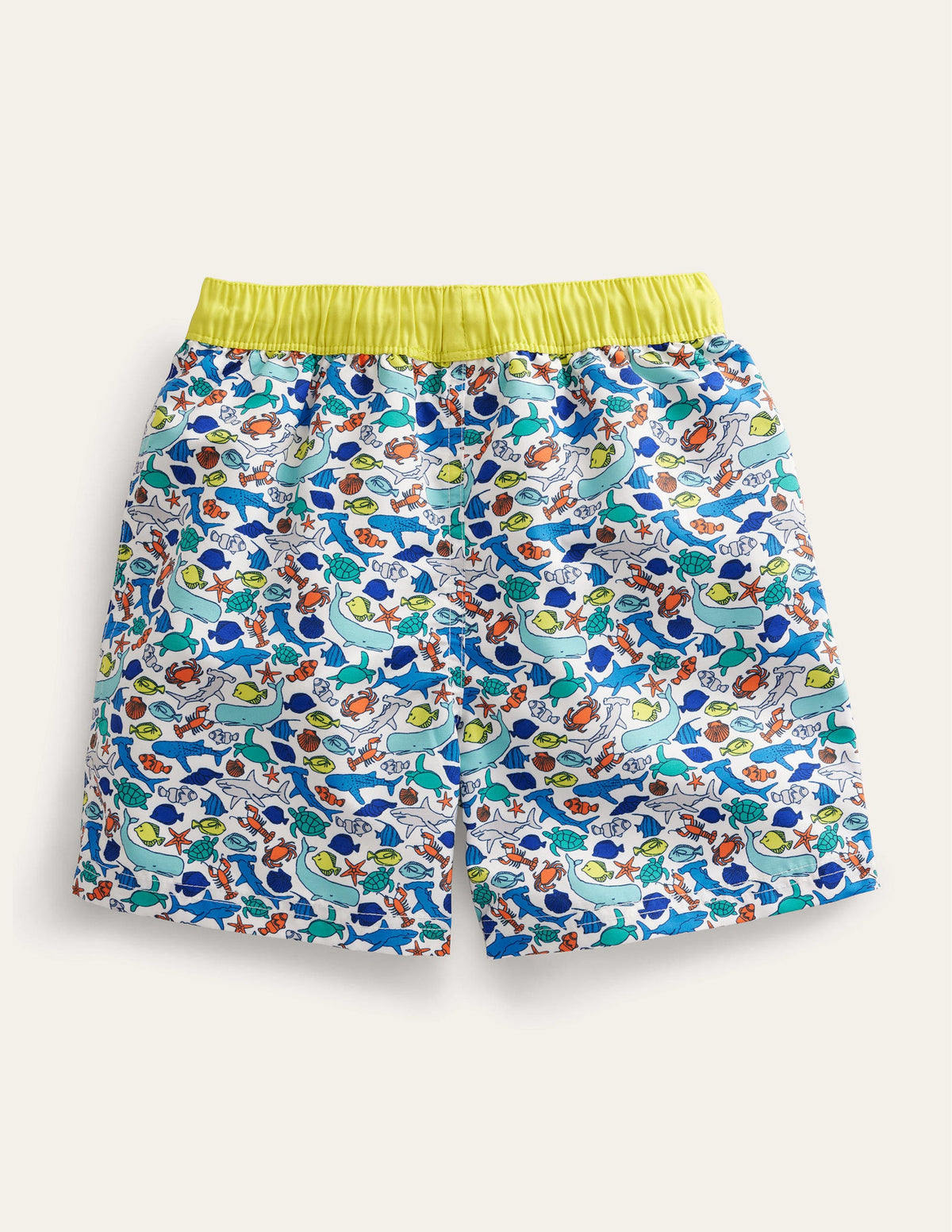 Swim Shorts-Multi Sealife - Image 2