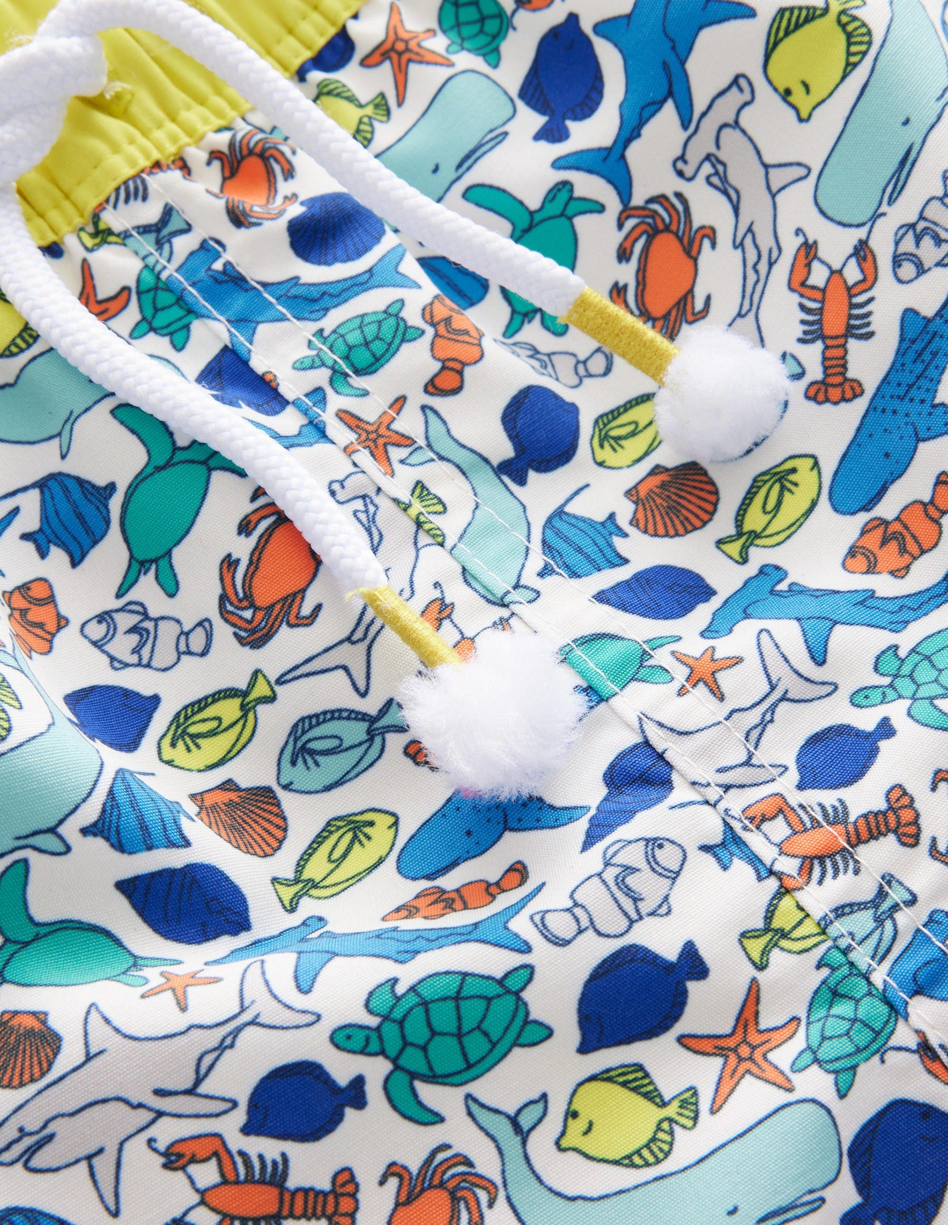 Swim Shorts-Multi Sealife-3