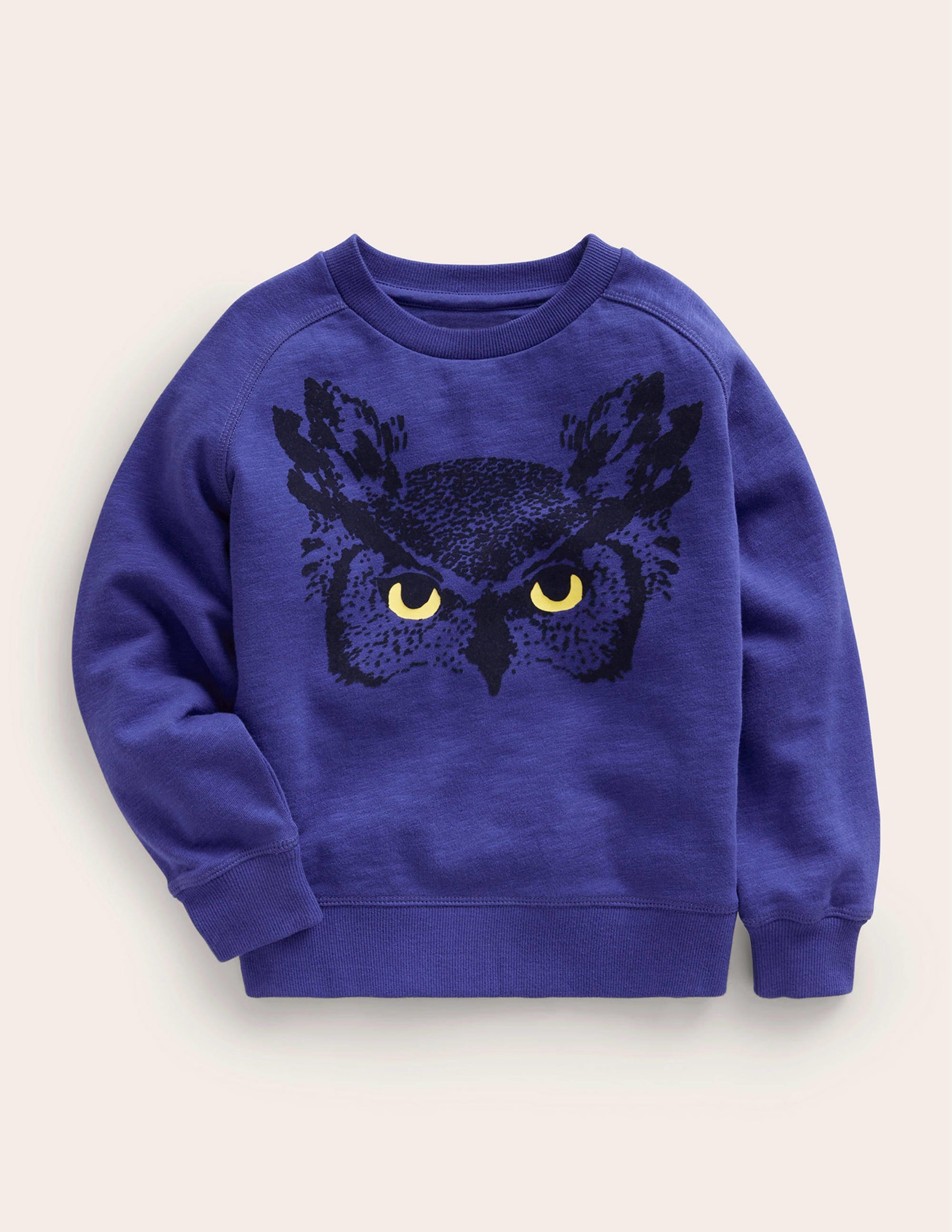 Owl Sweatshirt-Bluing - Image 1