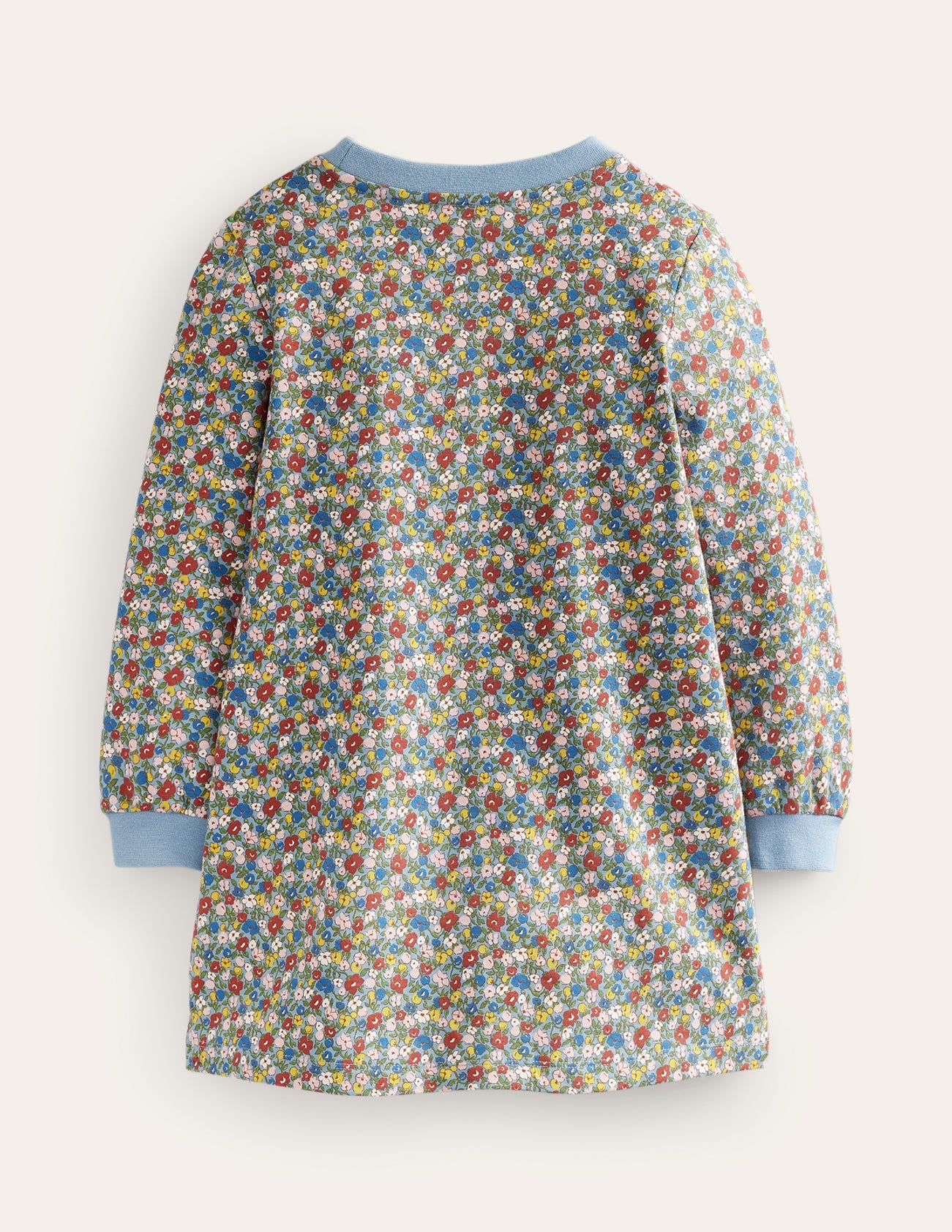 Appliqué Sweatshirt Dress-Pebble Blue Flower Dog-2