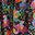 Flo Cotton Midi Shirt Dress-Black, Carnation Garden - Image 6
