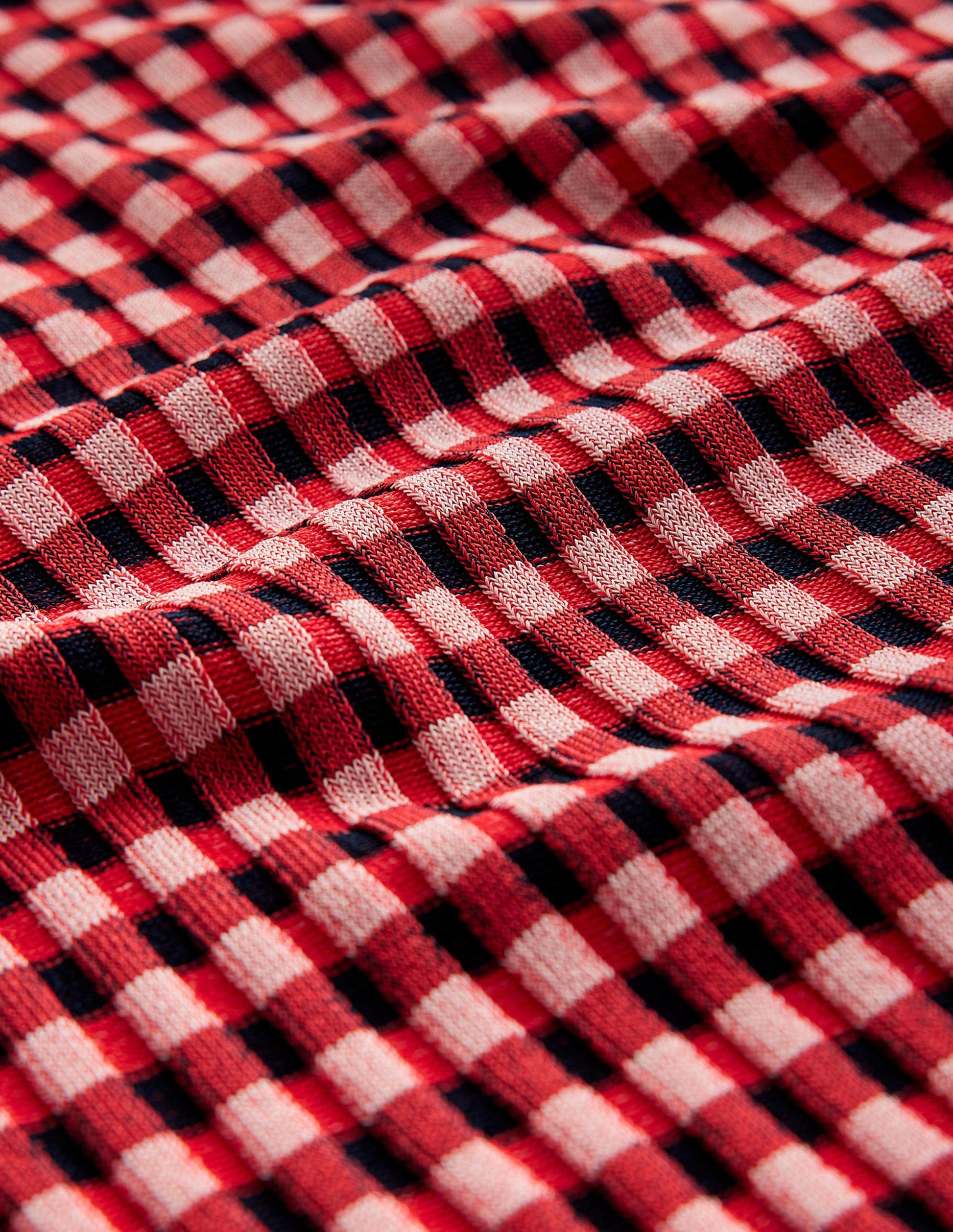 Fitted Check Sweater-Hot Pepper, Marshmallow-6