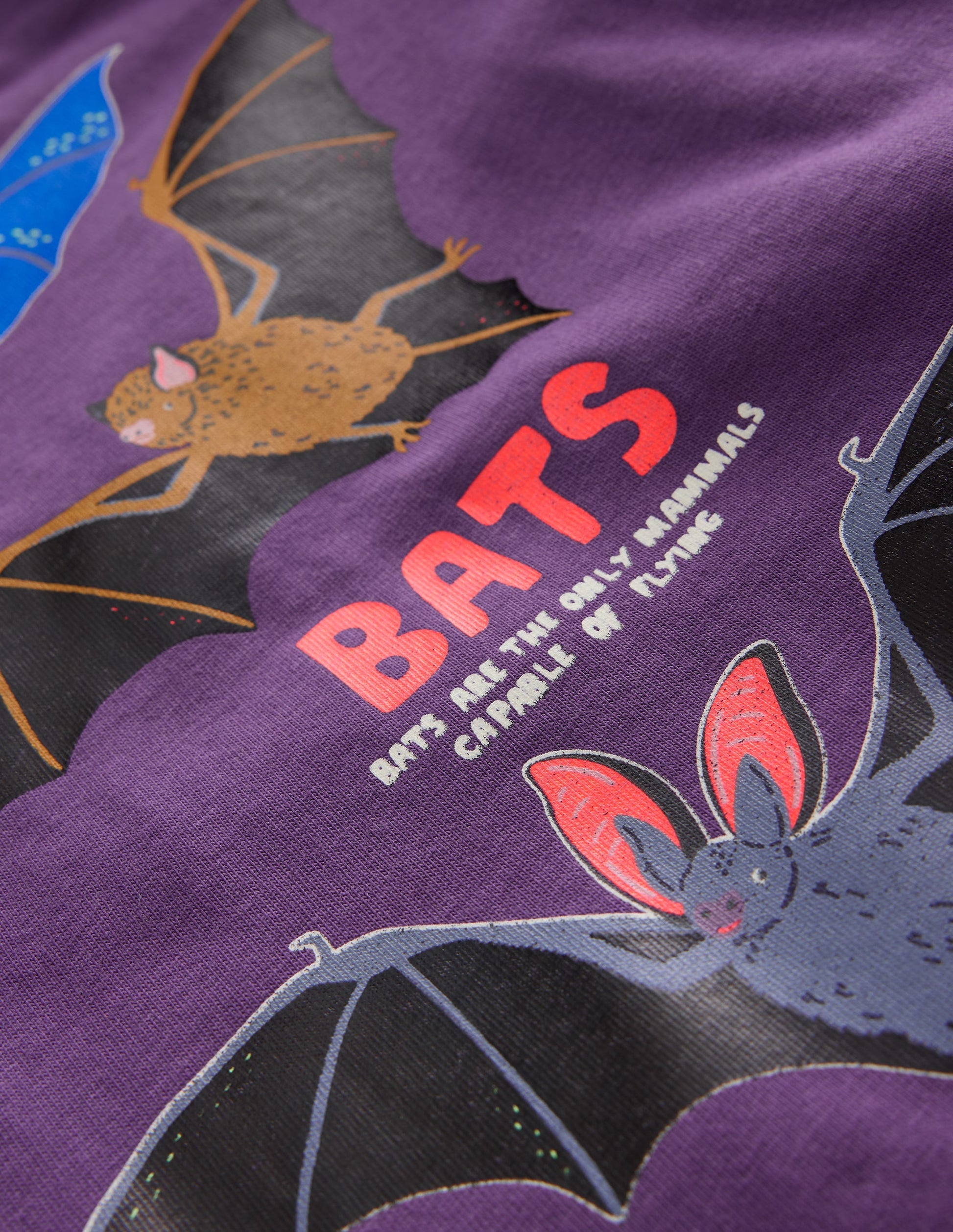 Glow-In-The-Dark T-Shirt-Mystical Purple Bats-3
