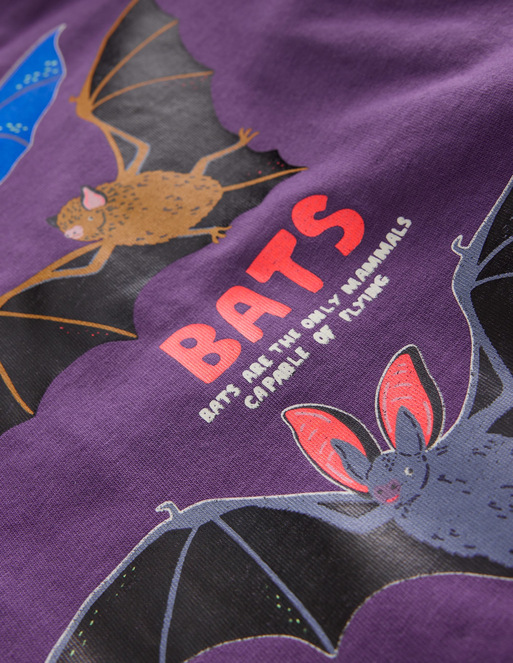 Glow-In-The-Dark T-Shirt-Mystical Purple Bats - Image 3