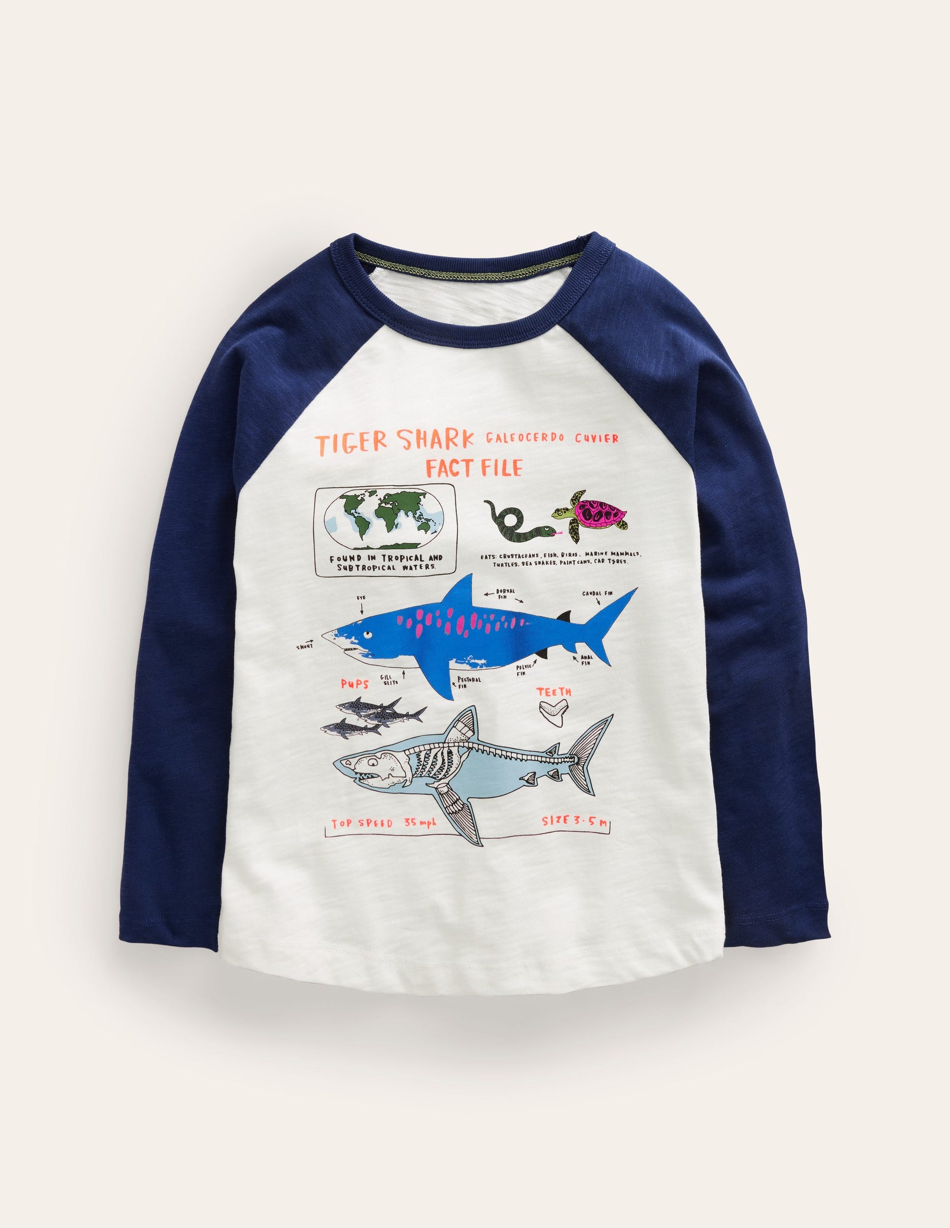 Raglan Fact File T-shirt-Ivory/Navy Sharks-1