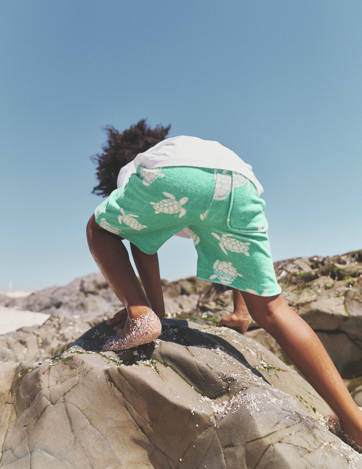 Towelling Sweat Shorts-Pea Green Turtles - Image 4