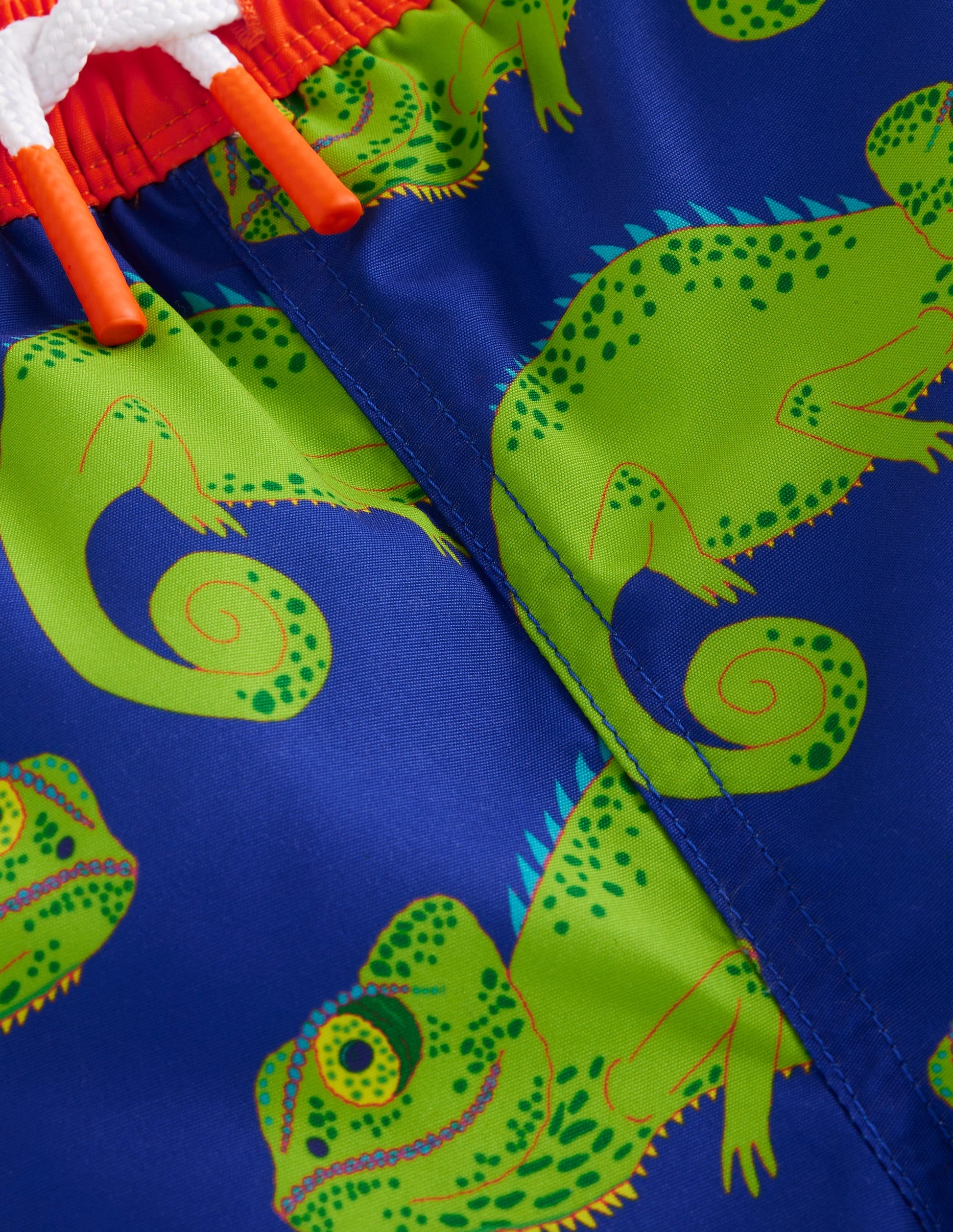 Swim Shorts-Blue Heron Chameleons-3