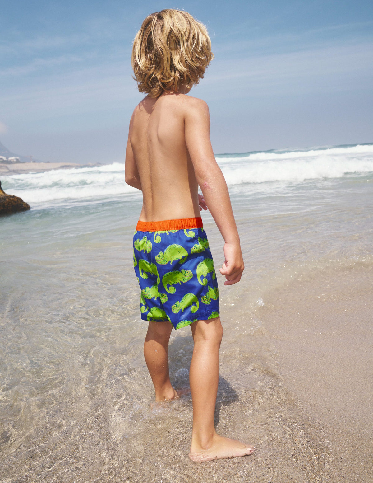 Swim Shorts-Blue Heron Chameleons - Image 5