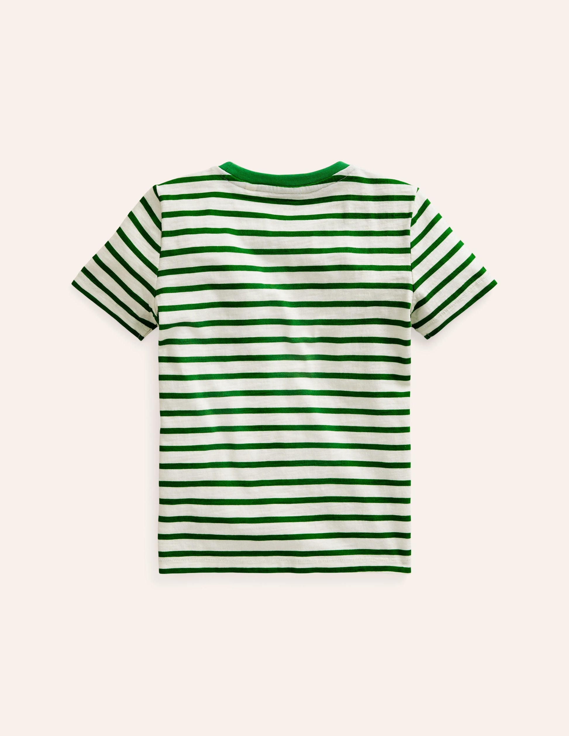 Rainbow Stripe Slub T-shirt-Highland Green Multi Stripe-2