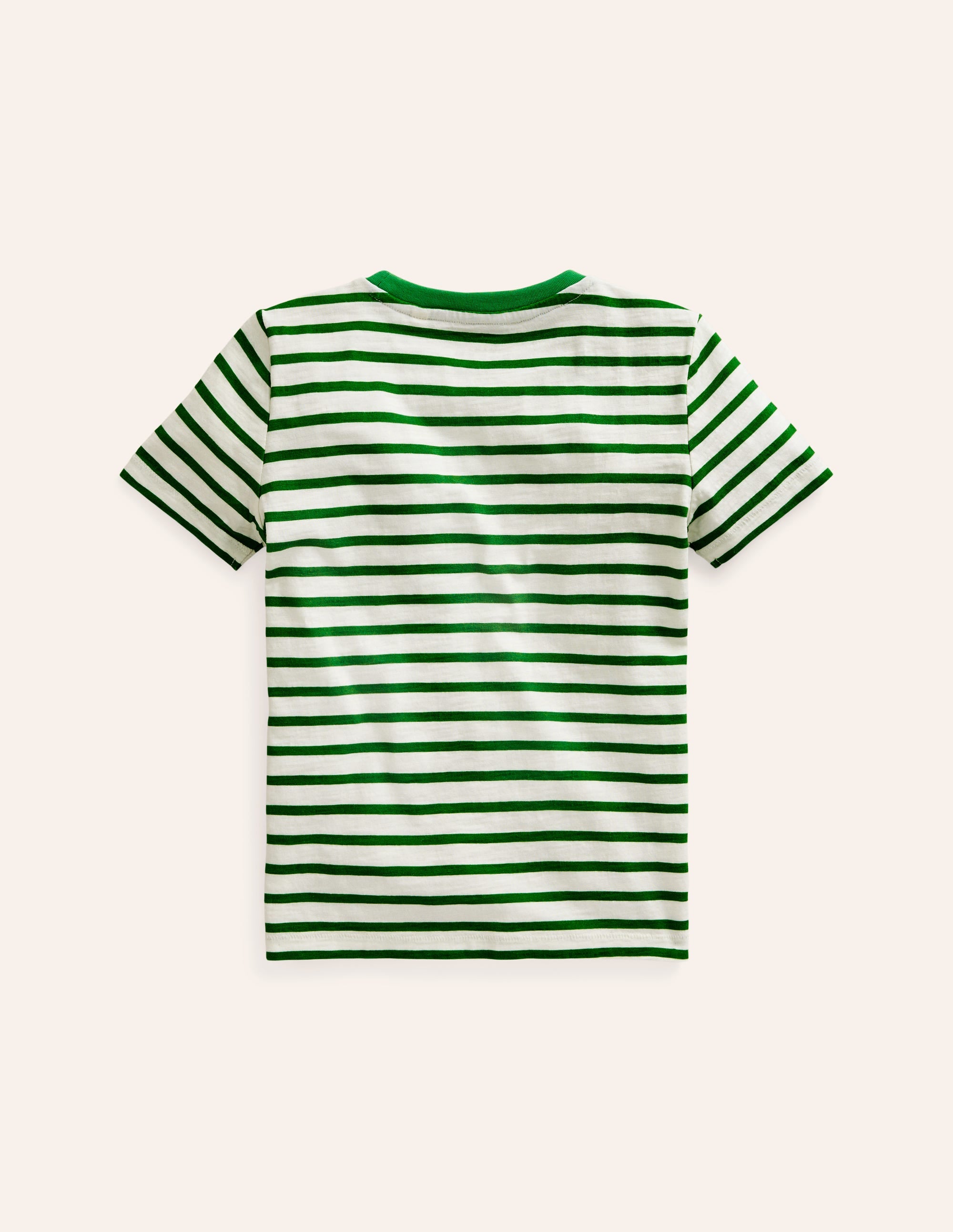 Rainbow Stripe Slub T-shirt-Highland Green Multi Stripe - Image 2