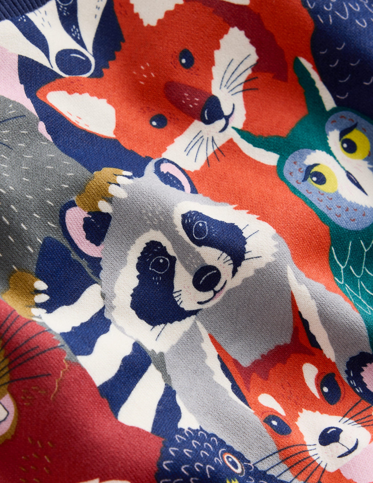 Printed Sweatshirt-Multi Animal Faces - Image 3