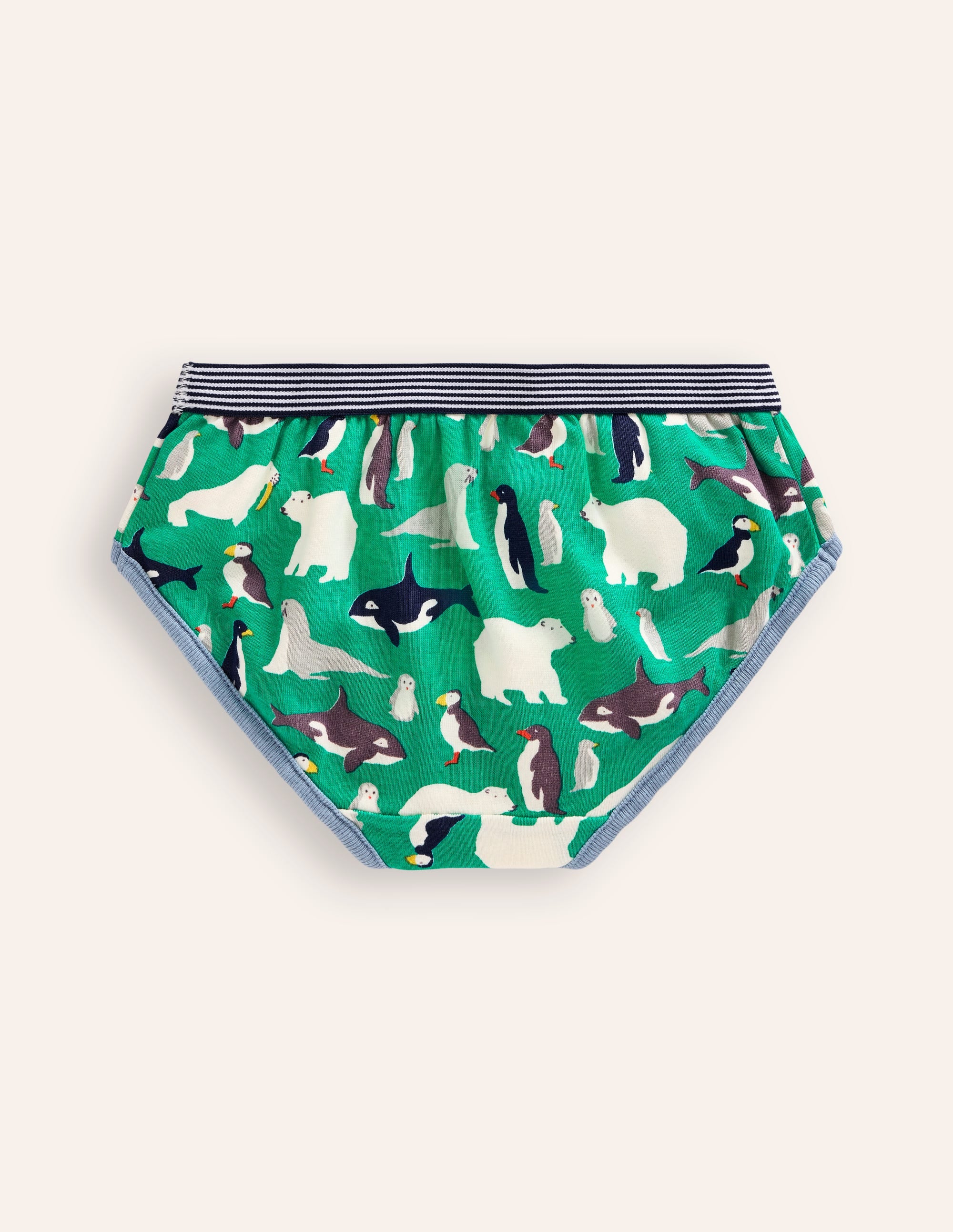 Underwear 5 Pack-Multi Arctic - Image 2