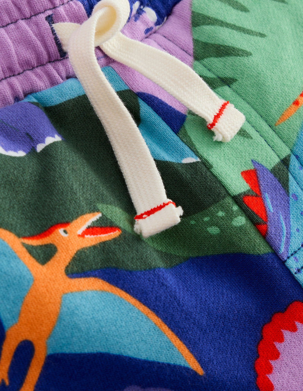 Printed Shorts-Multi Dinosaur Camo - Image 3