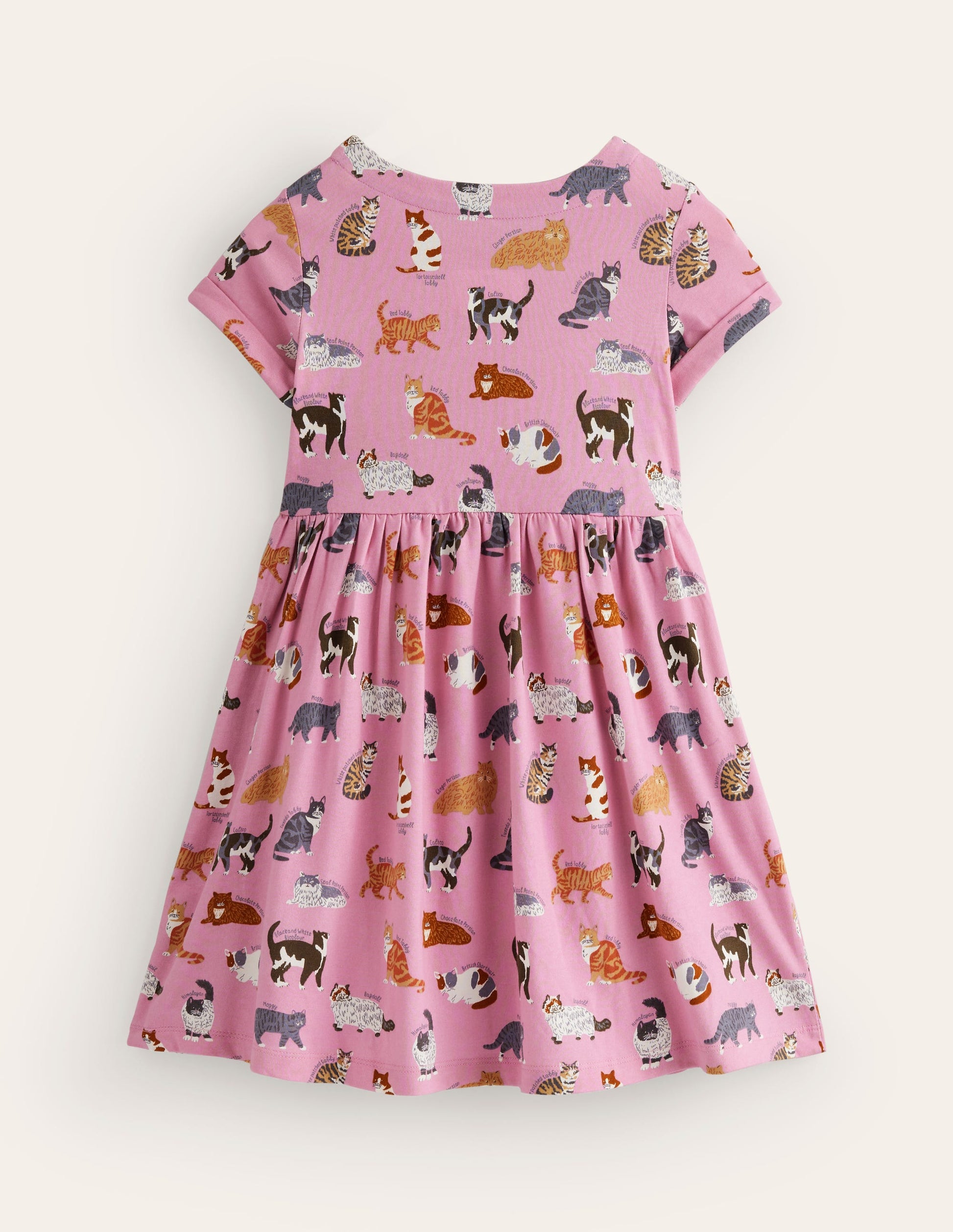 Short-sleeved Fun Jersey Dress-Formica Pink Cats-2
