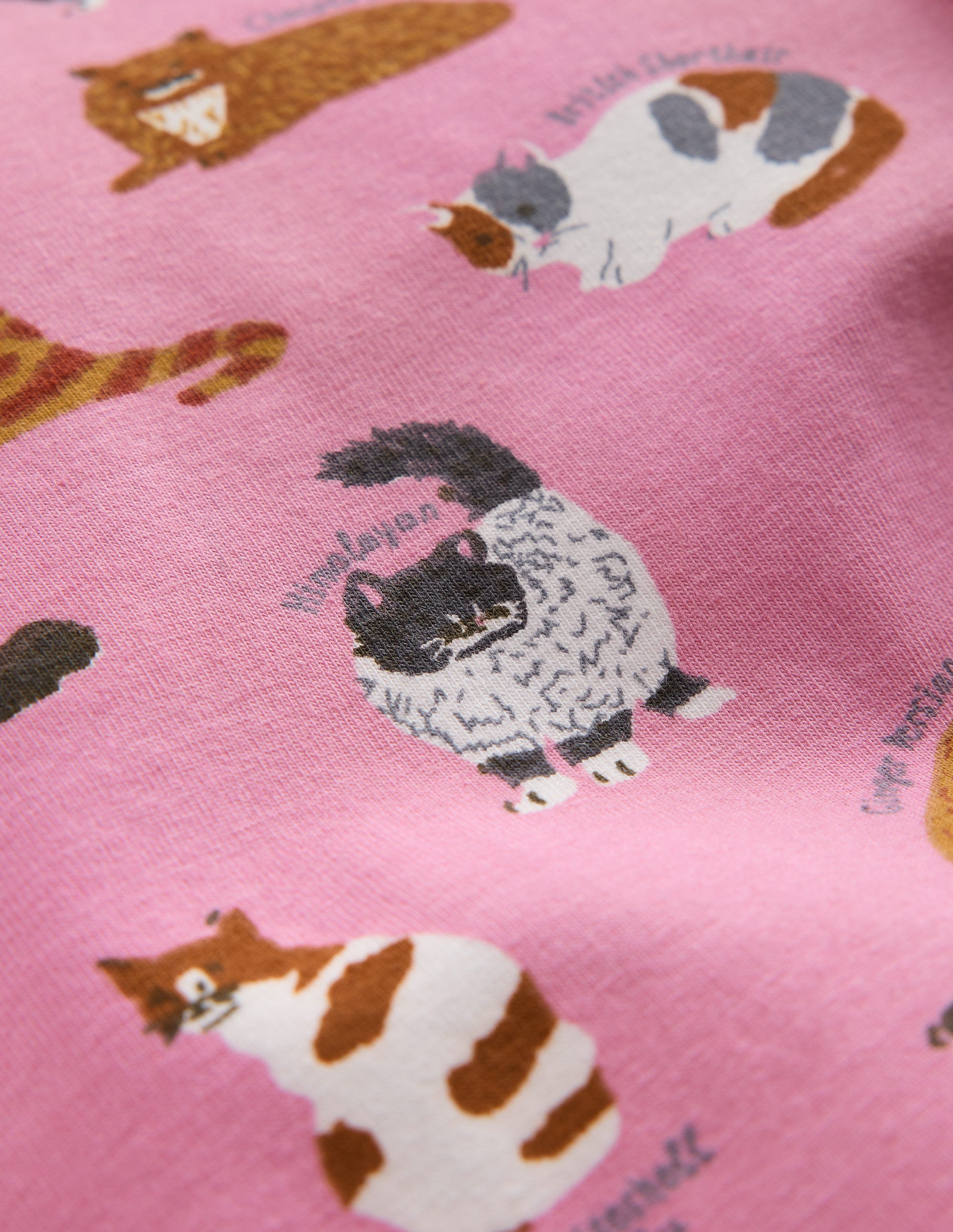 Fun Leggings-Formica Pink Cats - Image 3