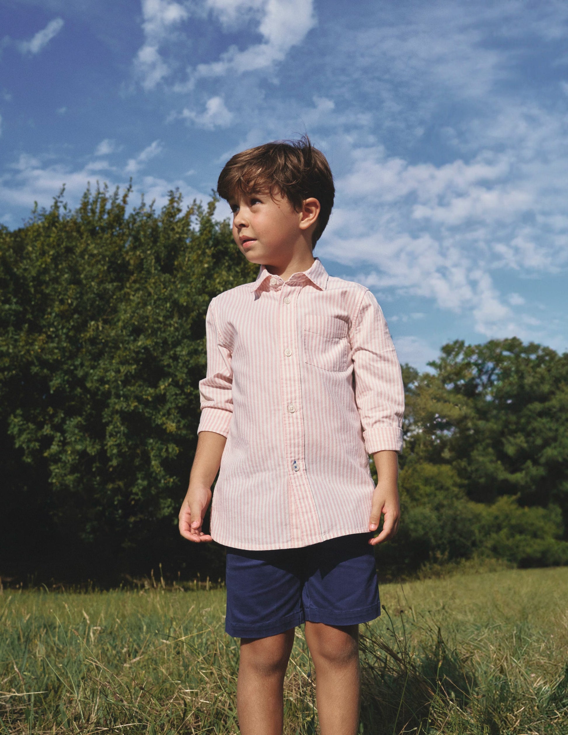 Cotton Shirt-French Pink/ Ivory Stripe-4