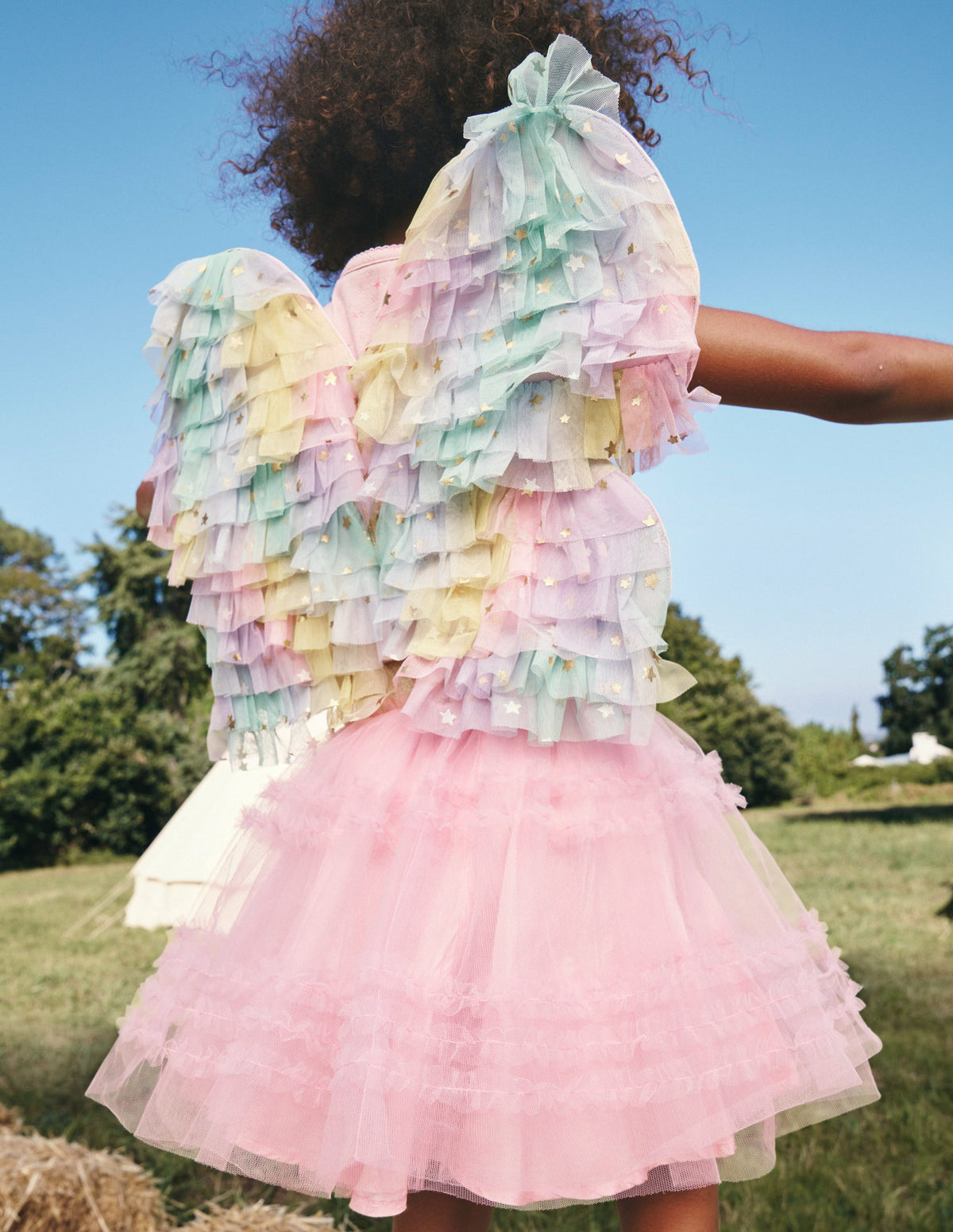 Fairy Wings-Multi Ombre - Image 4