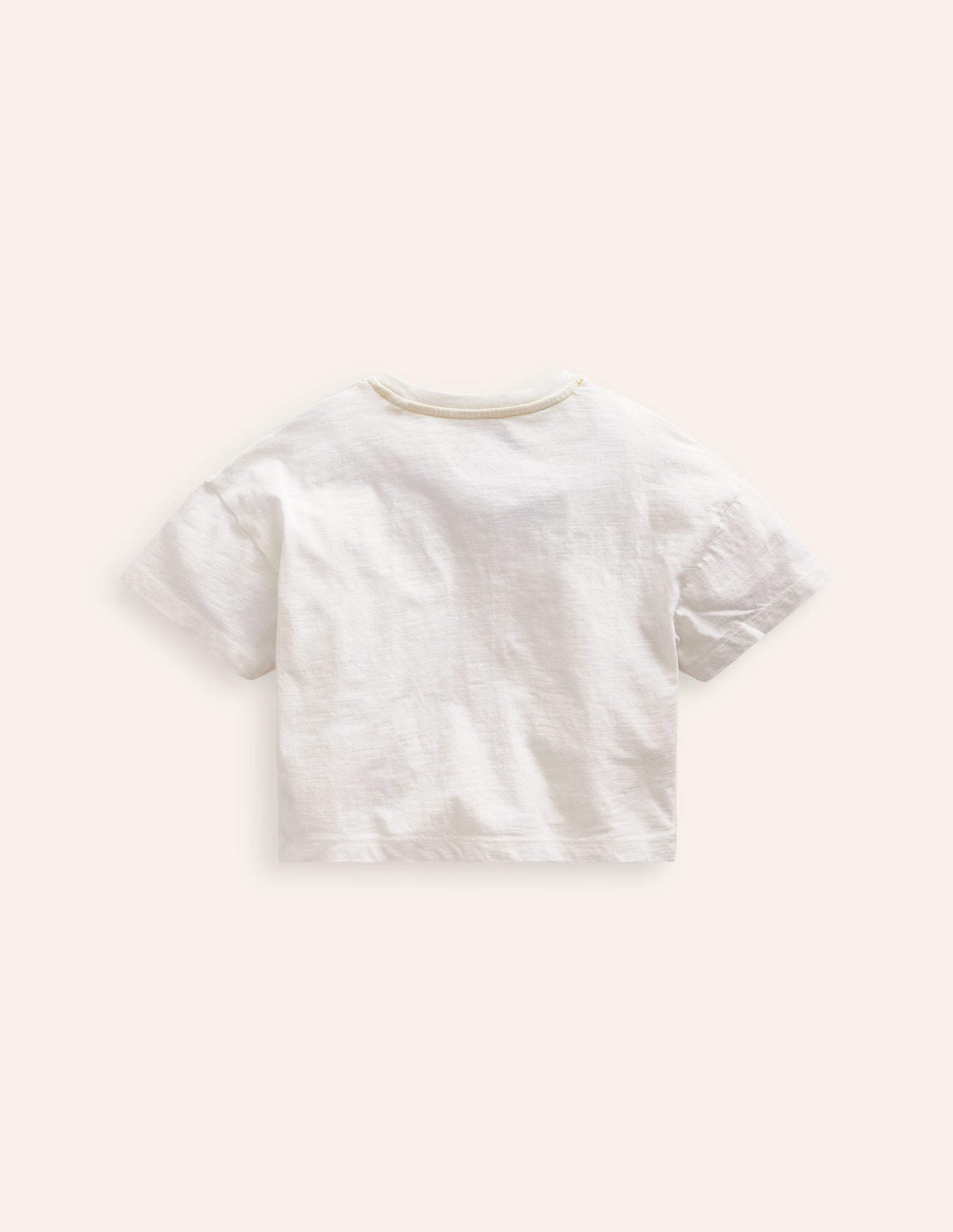 Relaxed T-shirt-Floral Placement Stripe-2