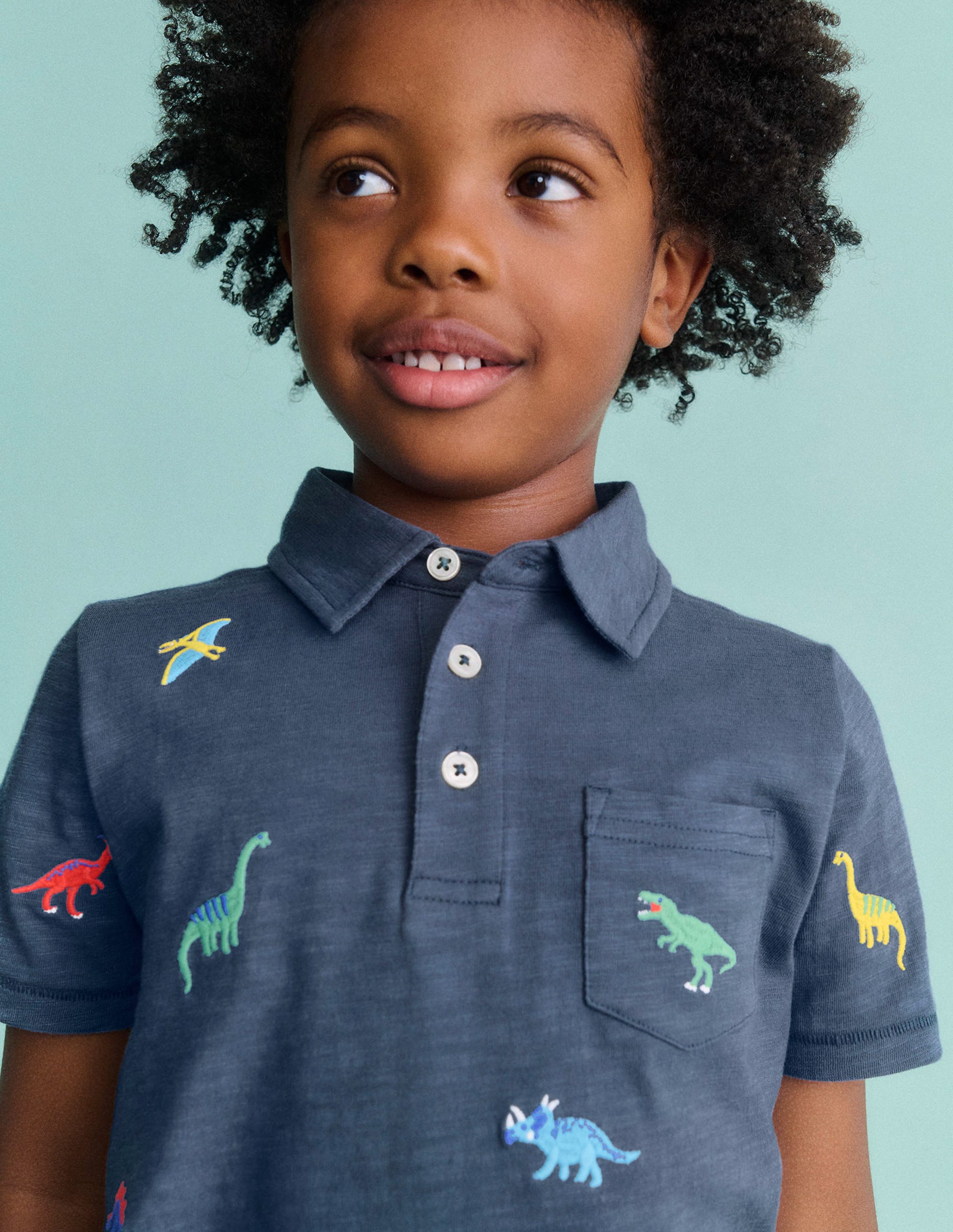 Embroidered Slub Polo Shirt-Multi Dinosaurs - Image 5