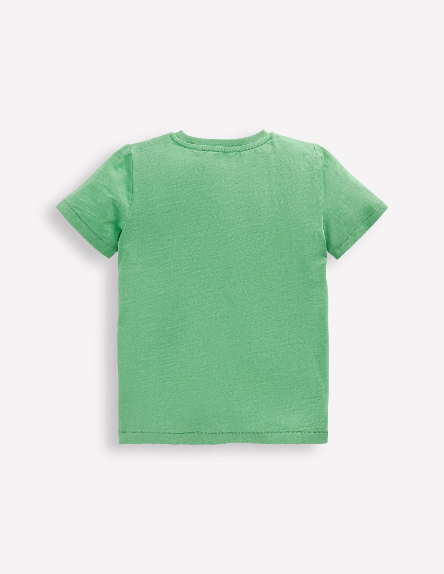 Everyday Short Sleeve T-Shirt-Aloe Green