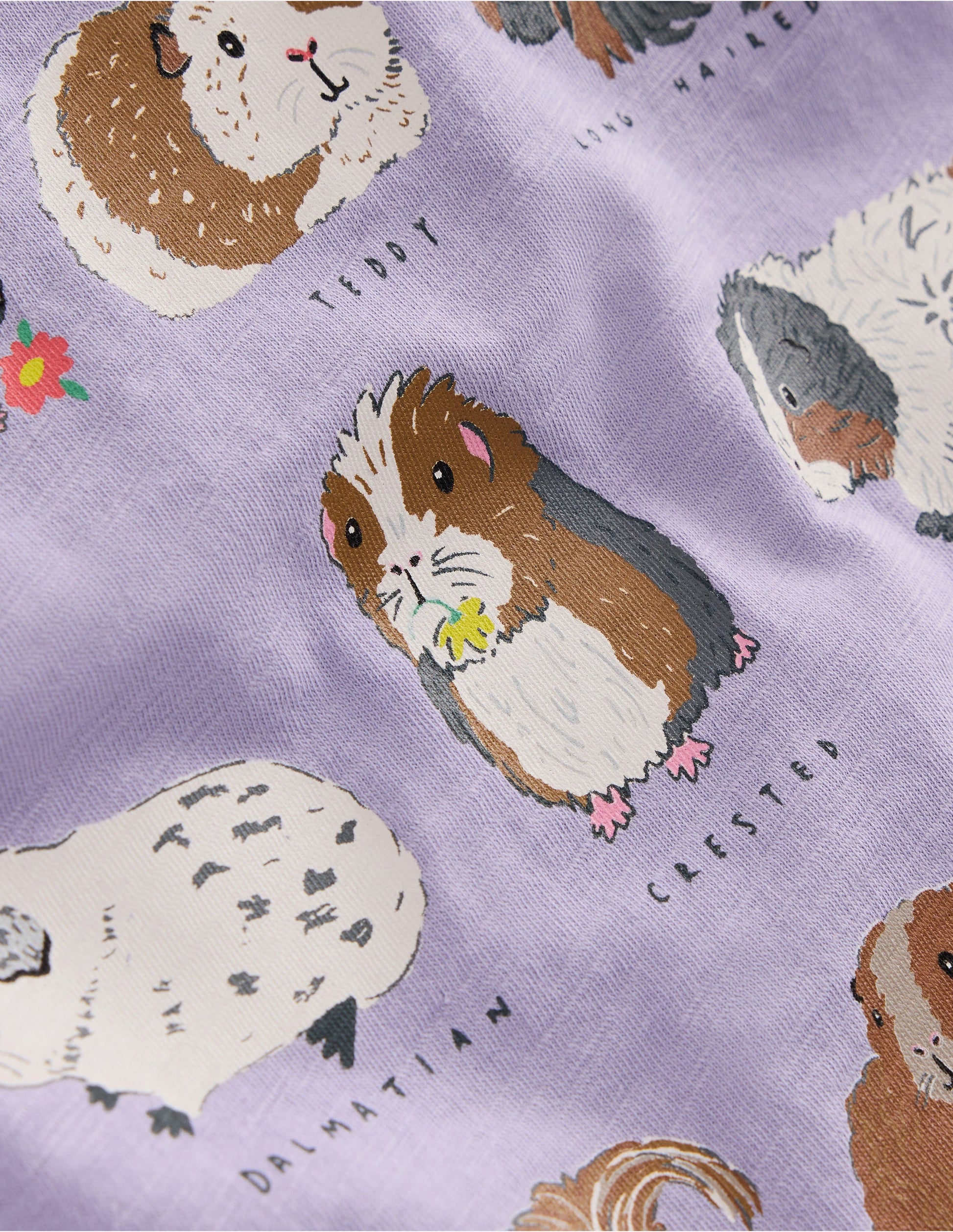 Short Sleeve Frill Logo Top-Misty Lavender Guinea Pigs-3