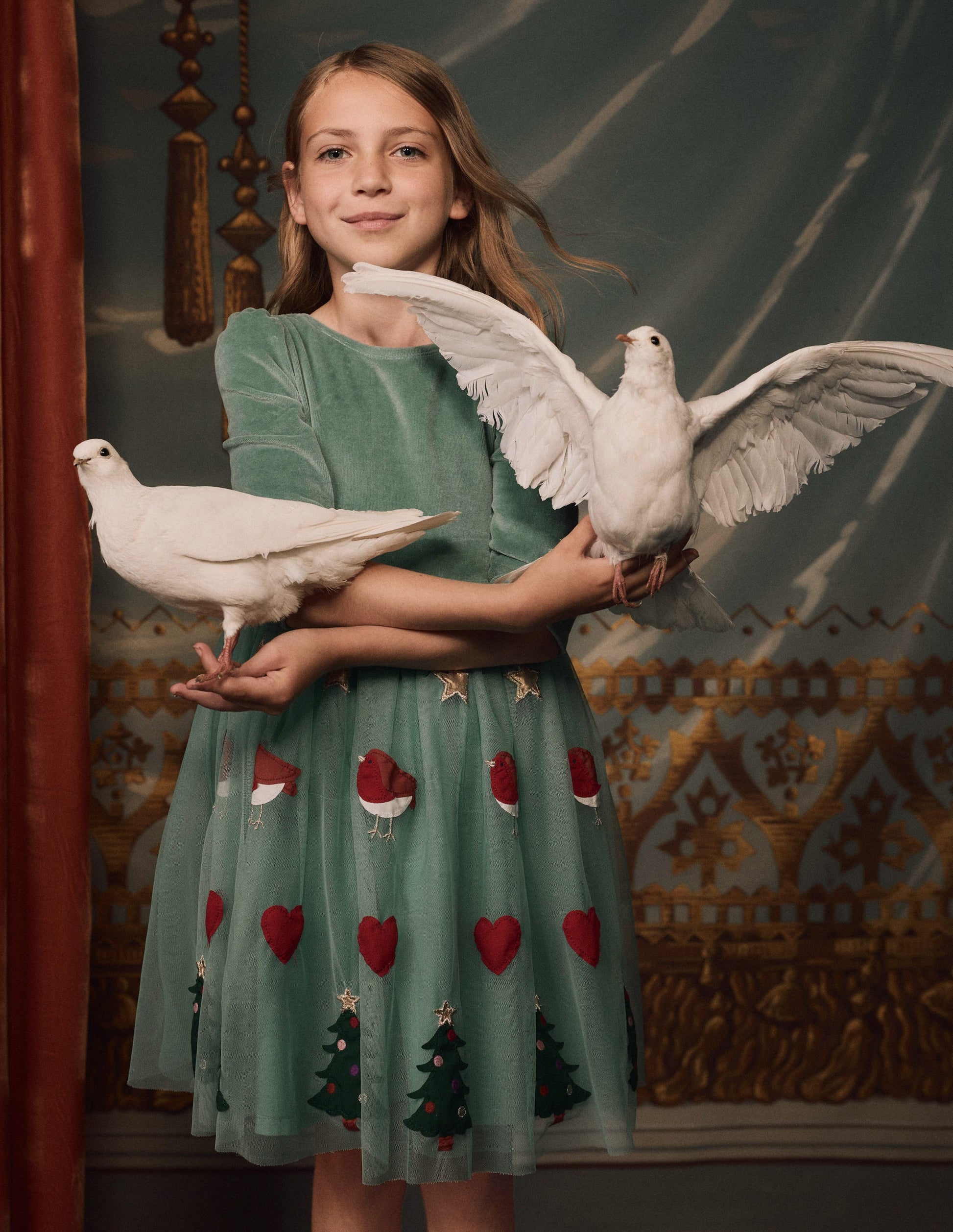 Velour Tulle Appliqu Dress-Robin Motif Velour Tulle Appliqu Dress-Robin Motif