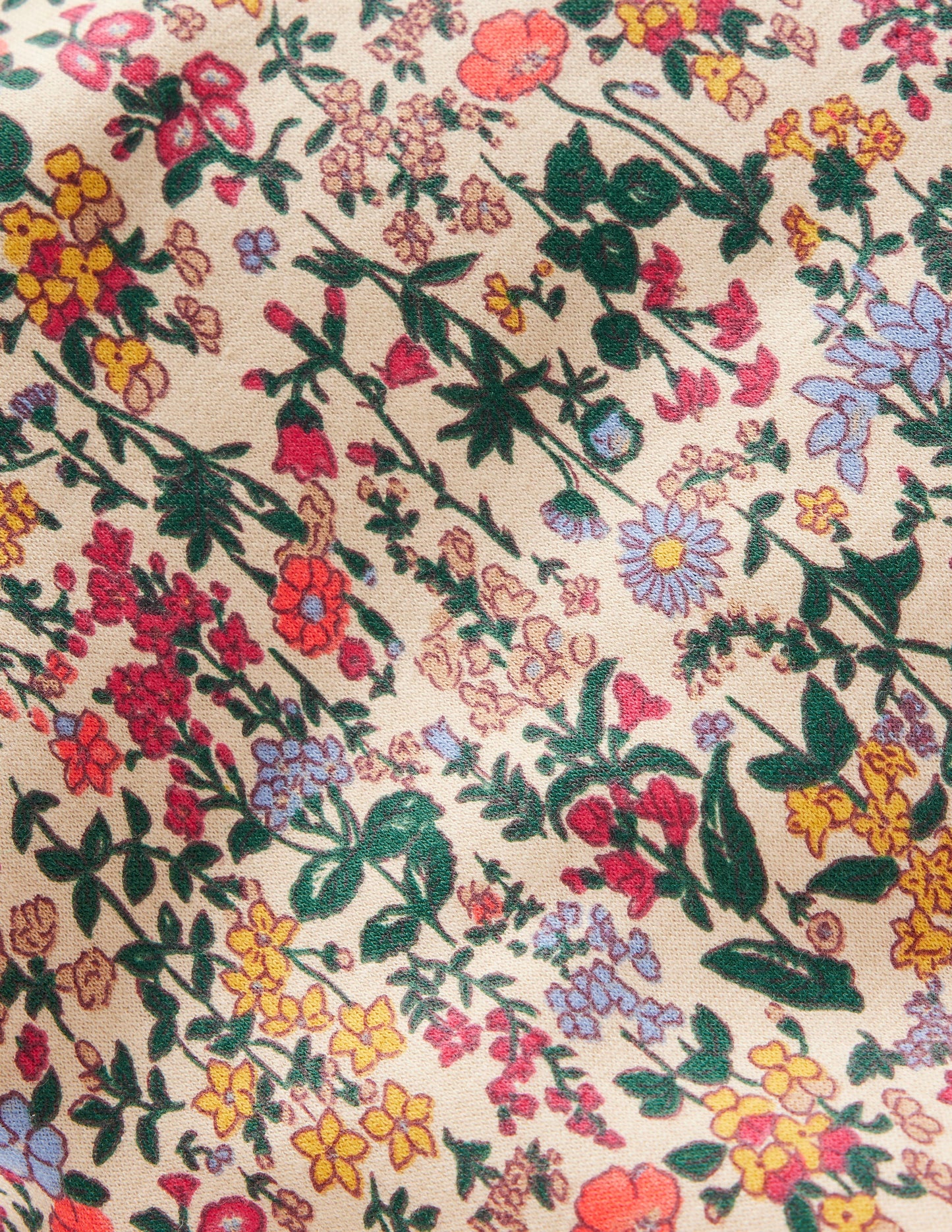 Relaxed Printed Sweatshirt-Ditsy Floral