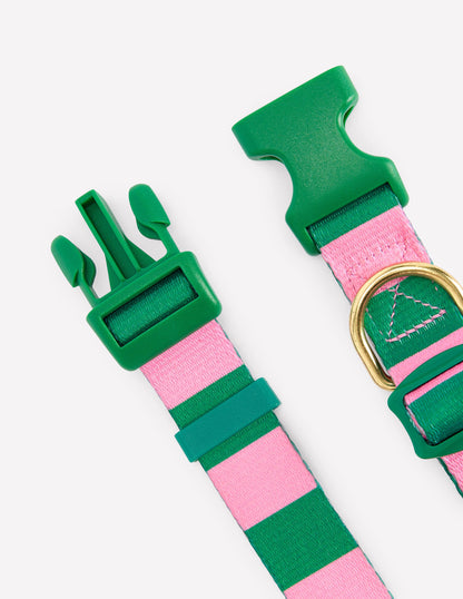 Dog Collar-Green/Pink Stripe