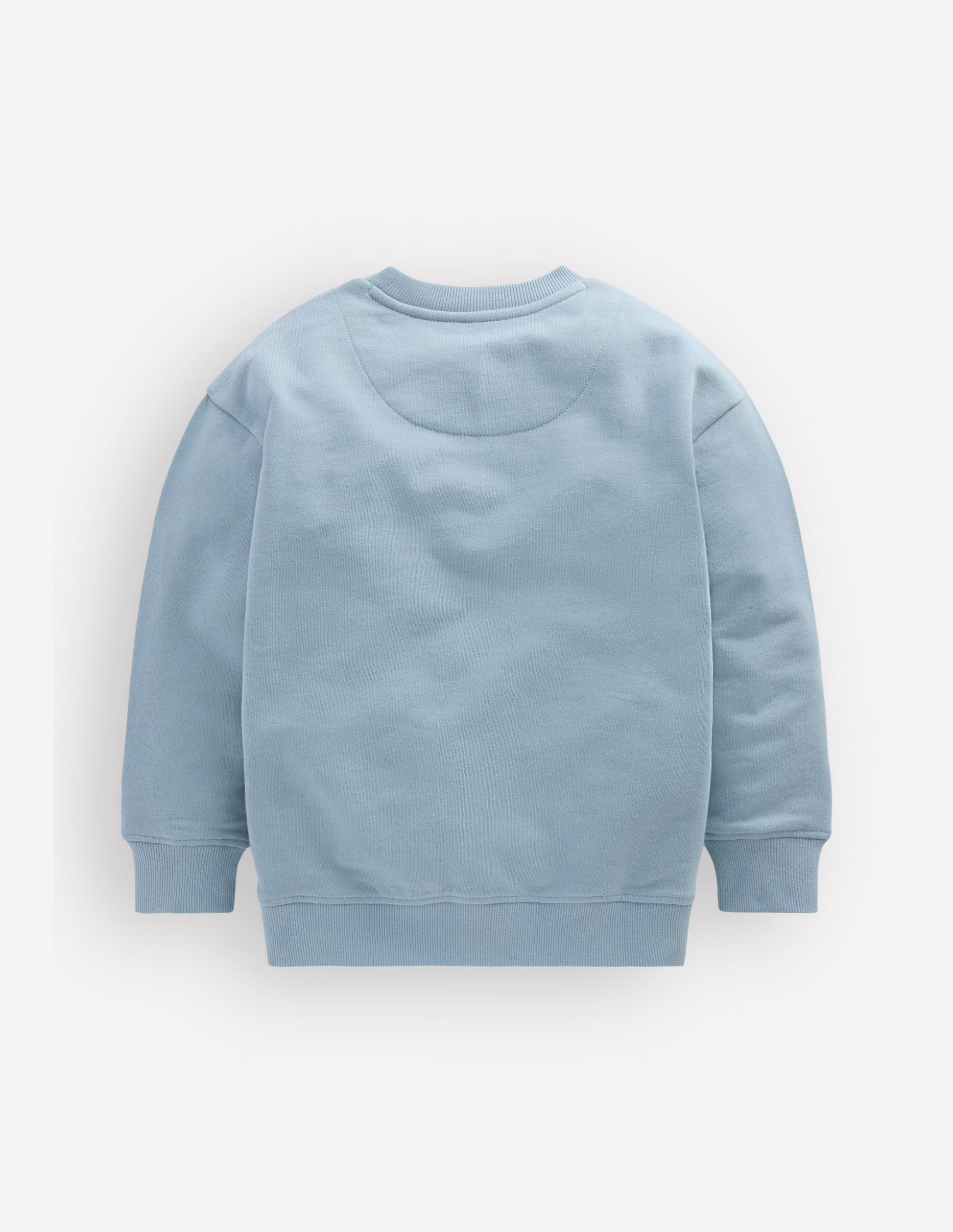 Fun Sweatshirt-Seamist Blue Chillies-3